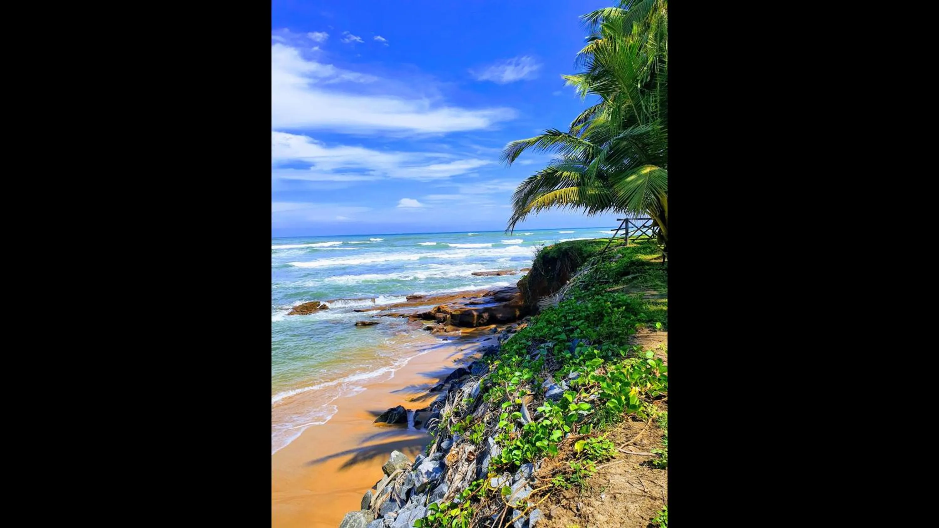 Other in Single Room - 1st Floor