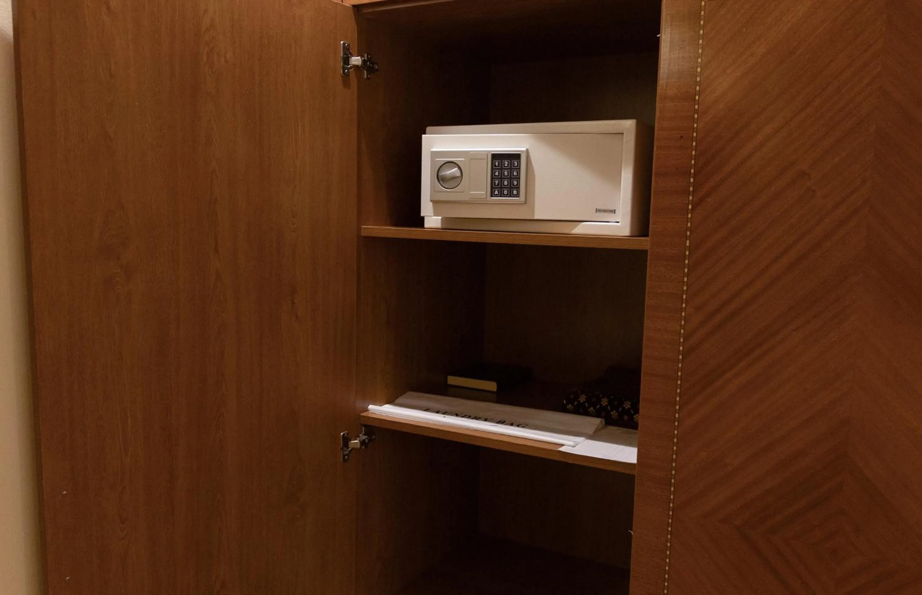 safe in Vendome Plaza Hotel