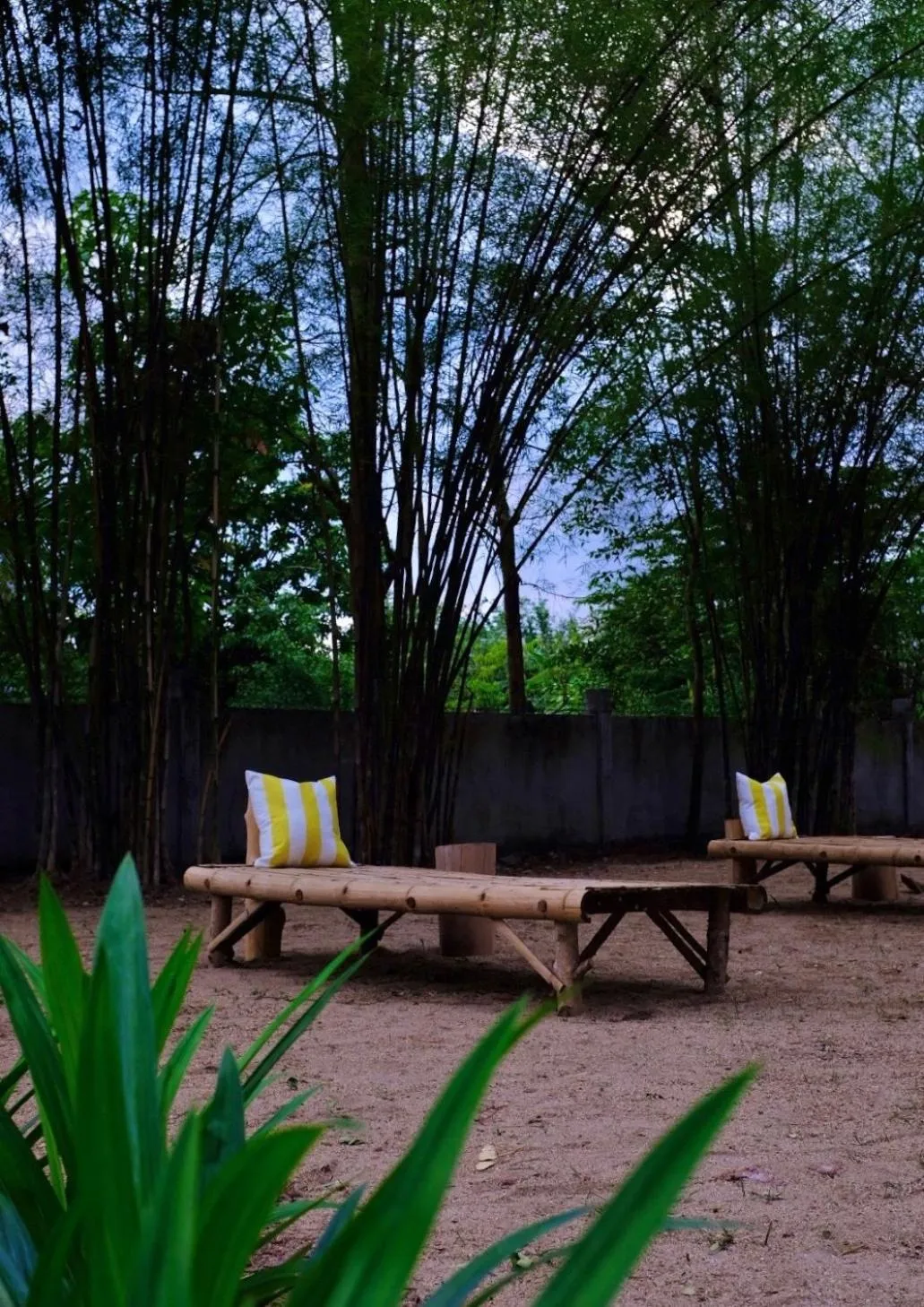 Waste Land Homestay & Resort Chiangmai