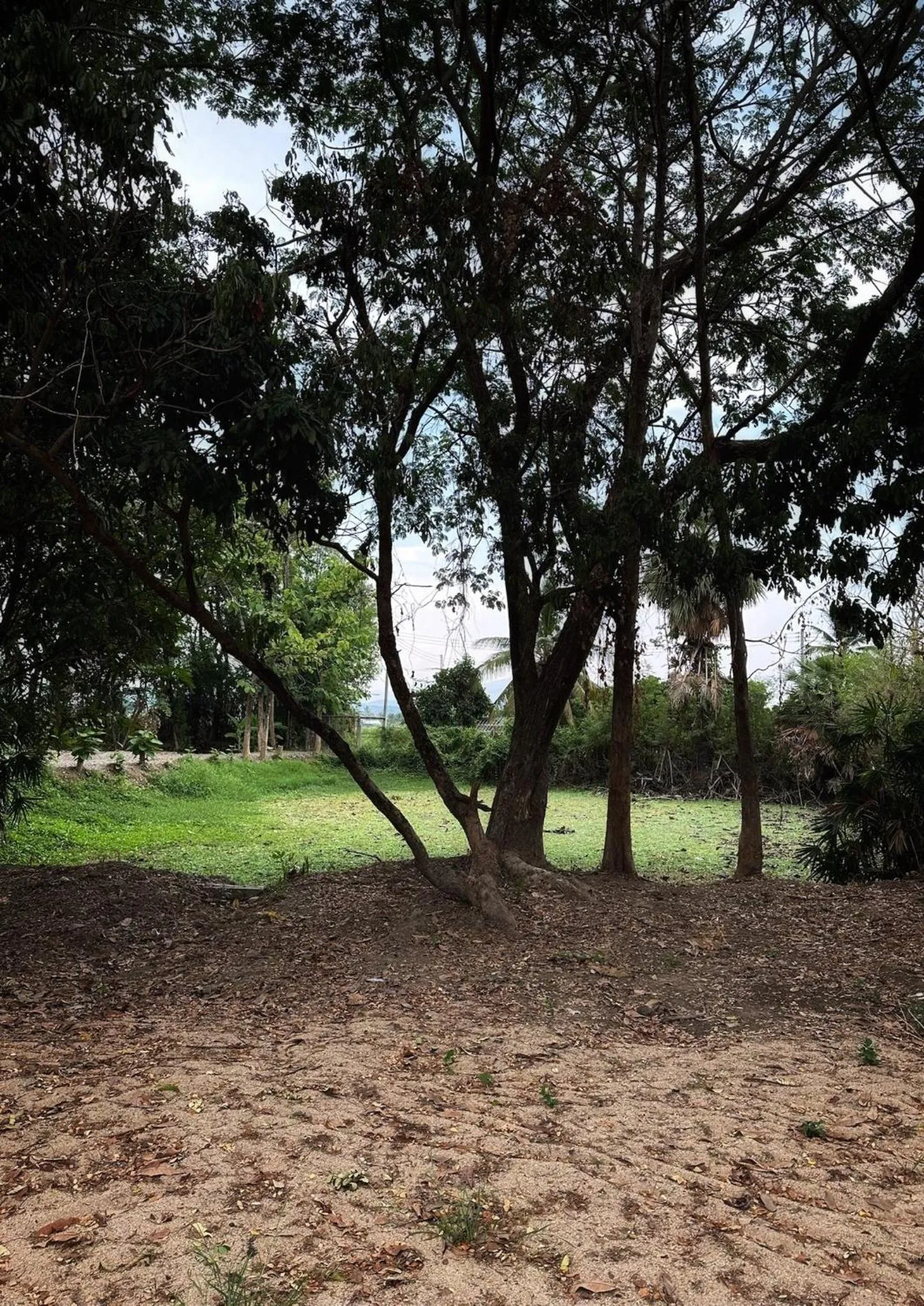 Waste Land Homestay & Resort Chiangmai