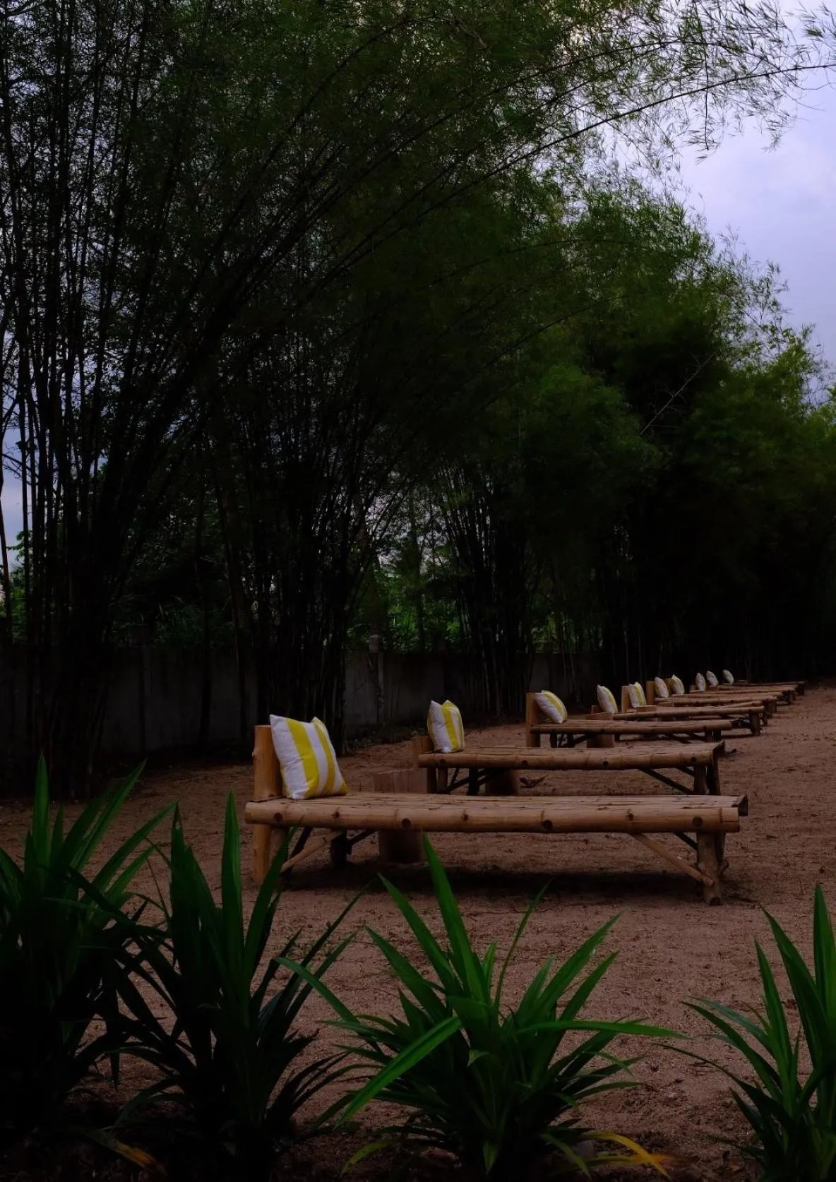 Waste Land Homestay & Resort Chiangmai