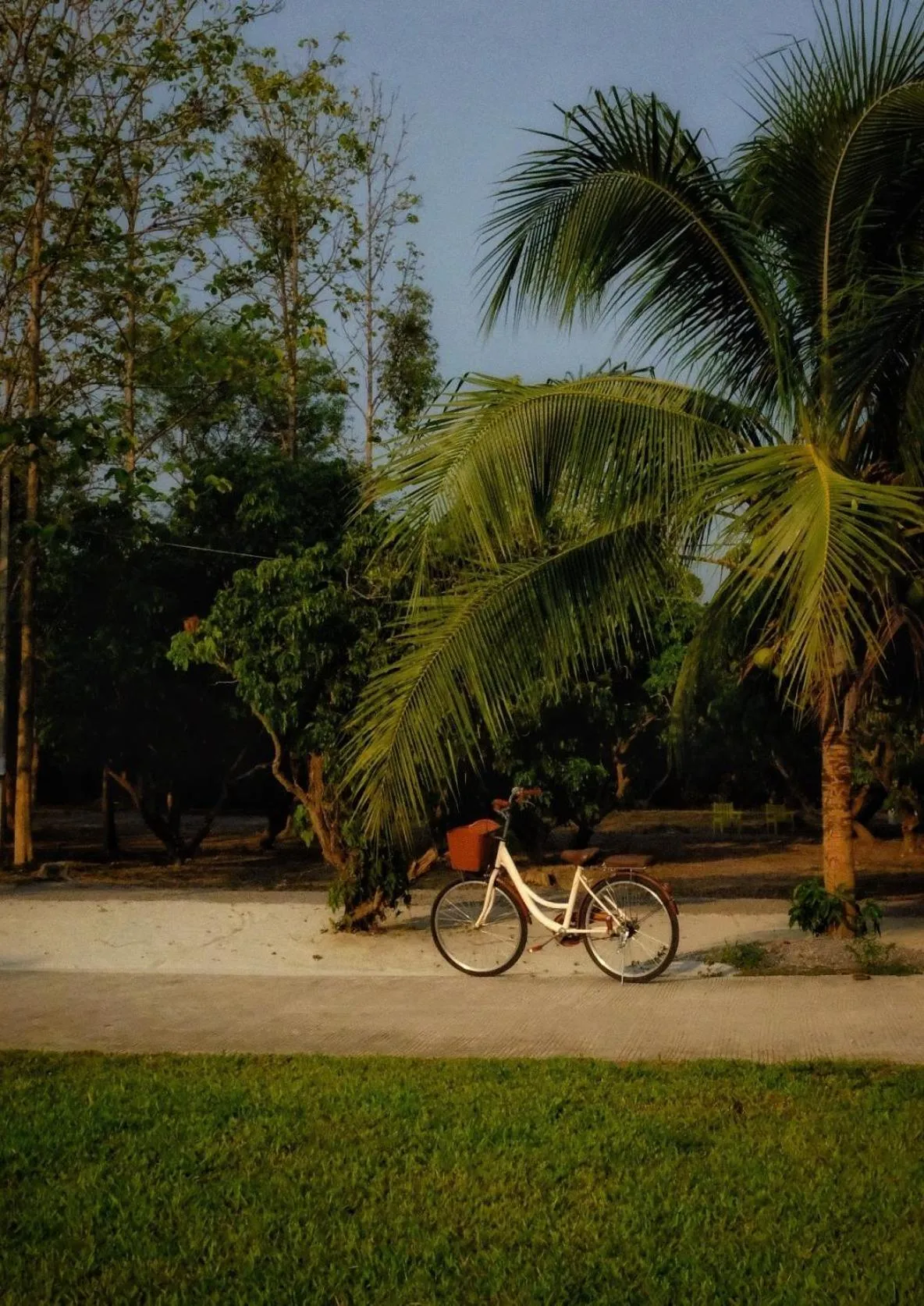 Waste Land Homestay & Resort Chiangmai