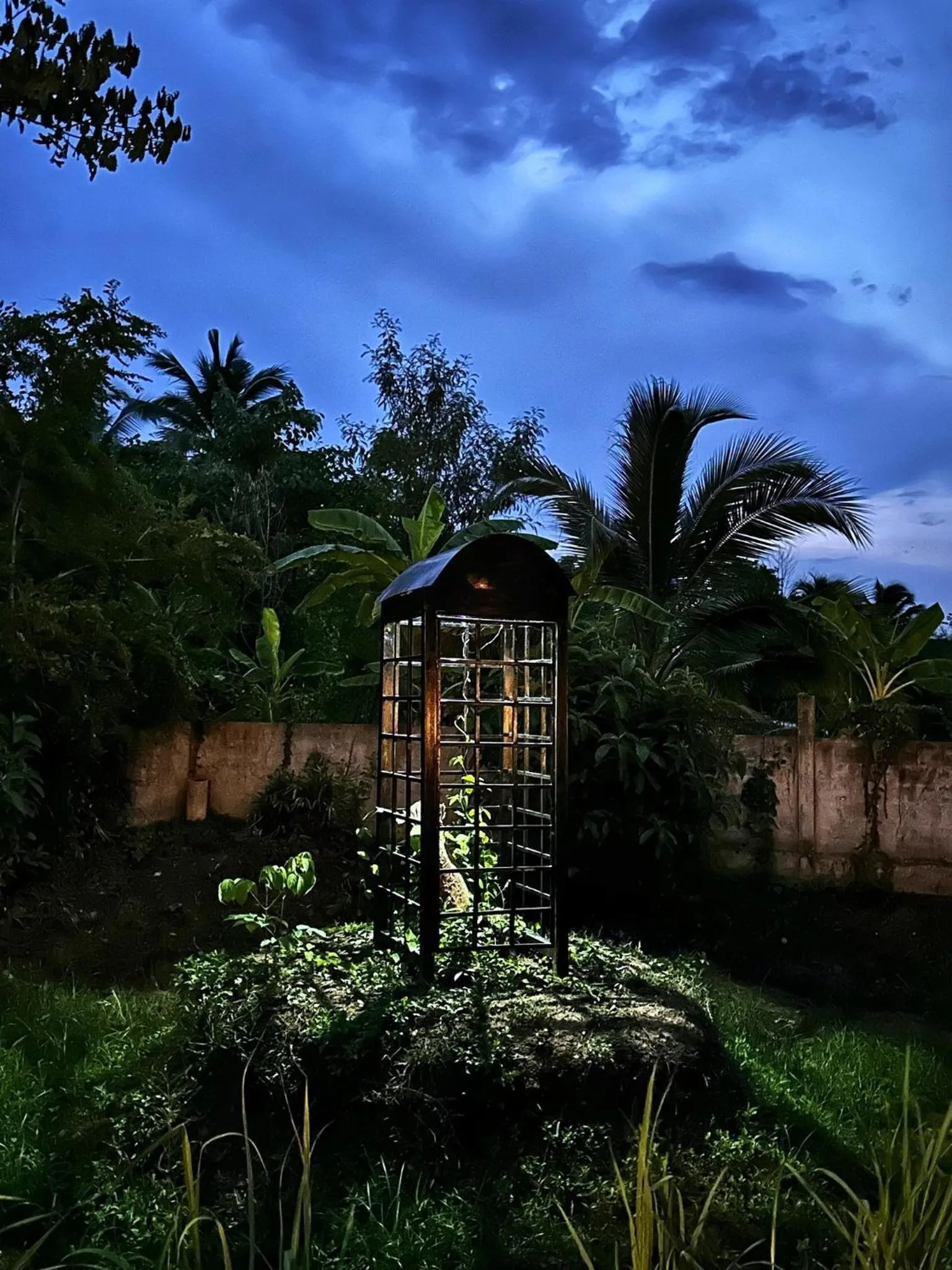 Waste Land Homestay & Resort Chiangmai