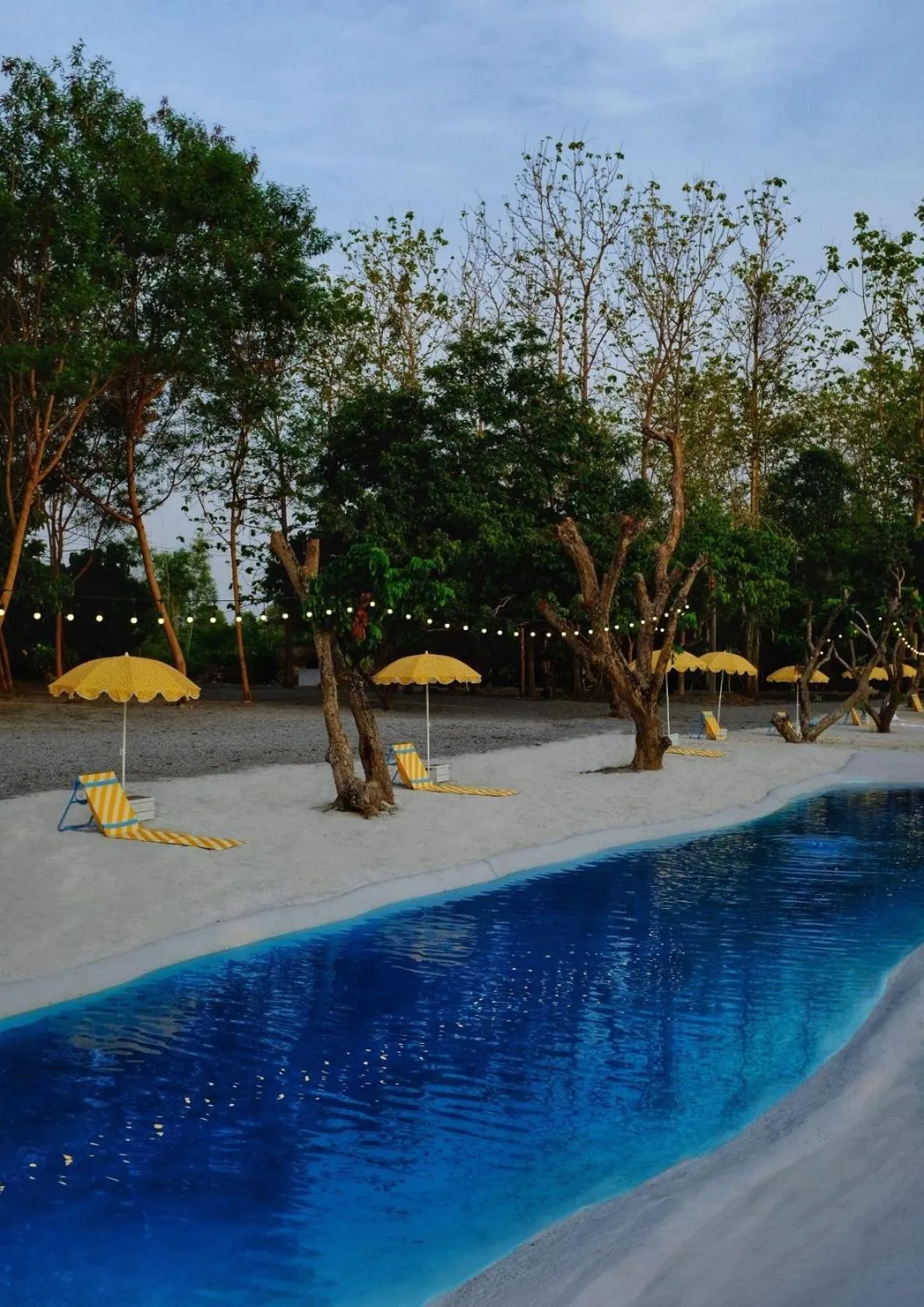 Waste Land Homestay & Resort Chiangmai