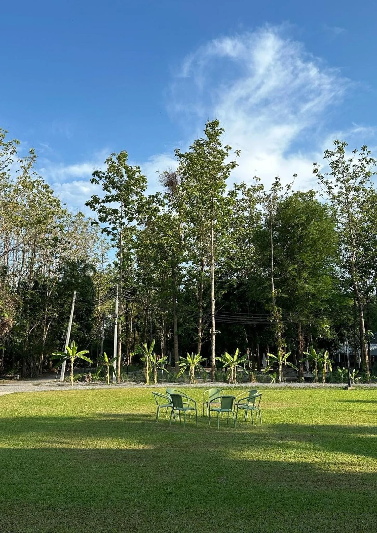 Waste Land Homestay & Resort Chiangmai