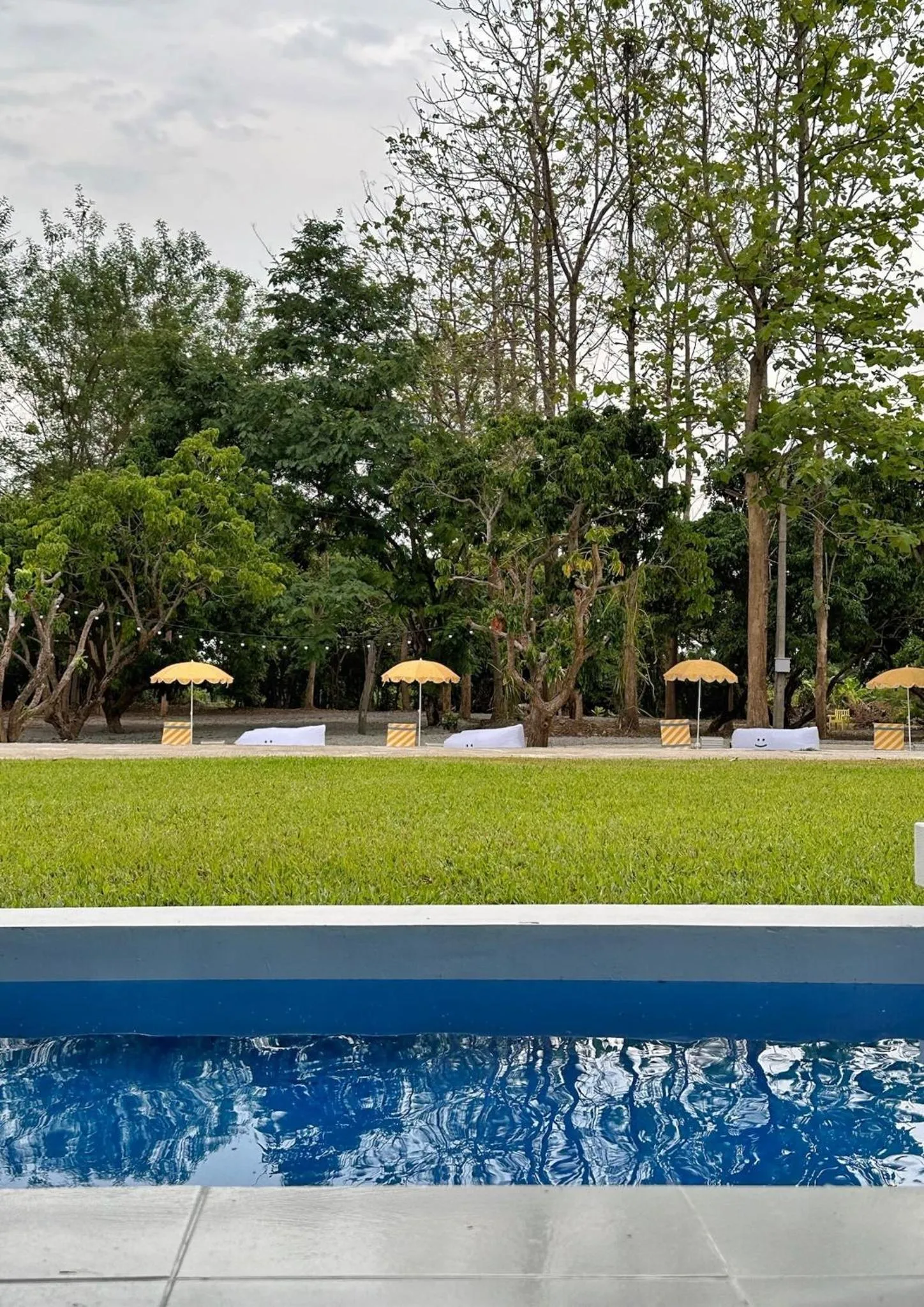 Waste Land Homestay & Resort Chiangmai