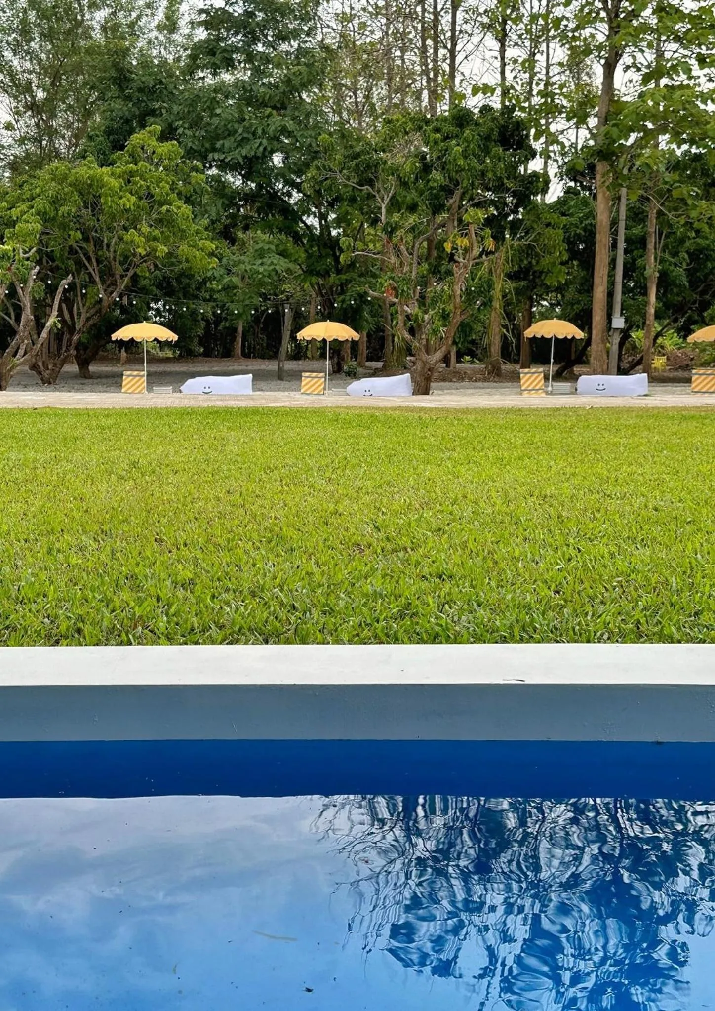 Waste Land Homestay & Resort Chiangmai