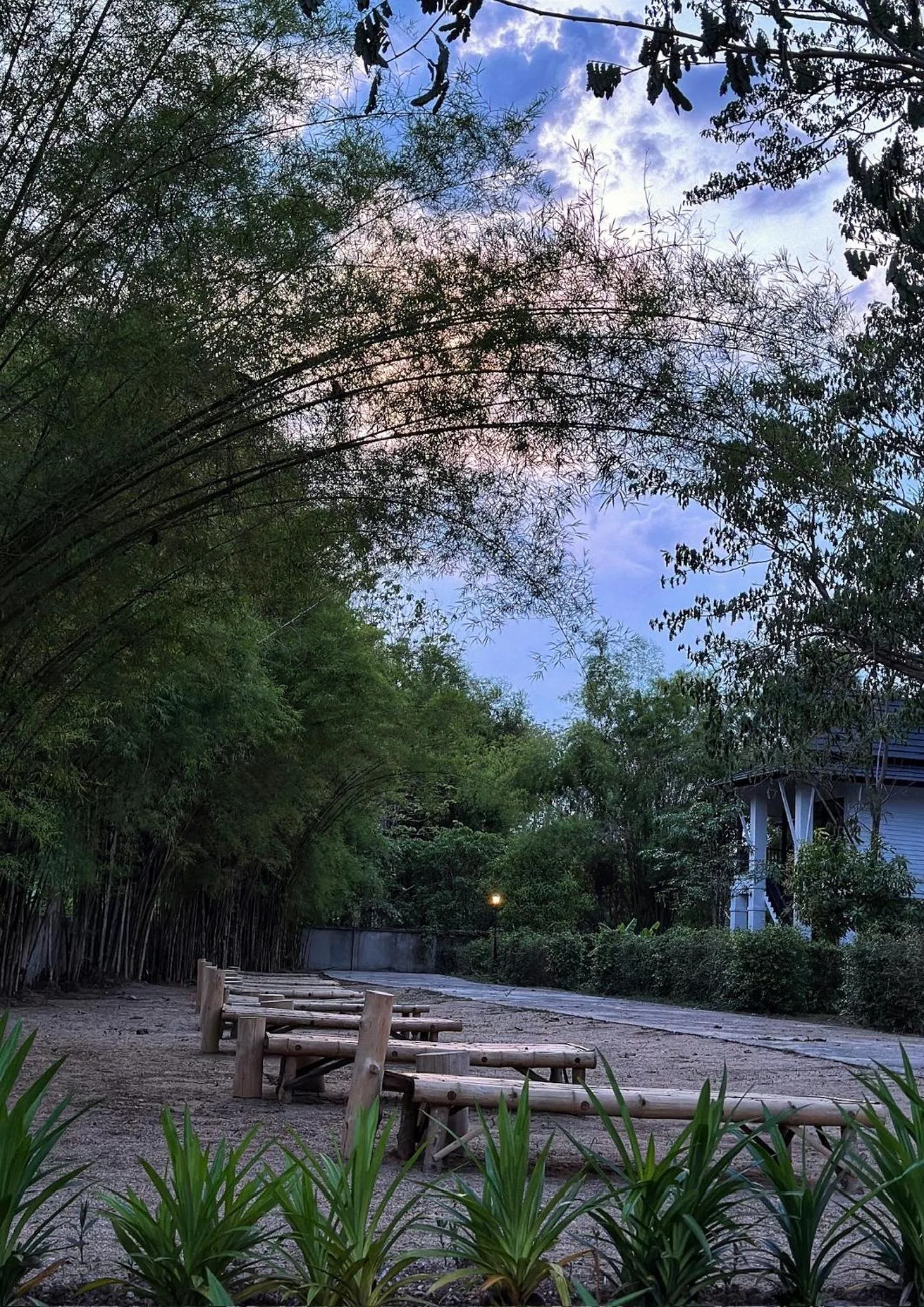 Waste Land Homestay & Resort Chiangmai