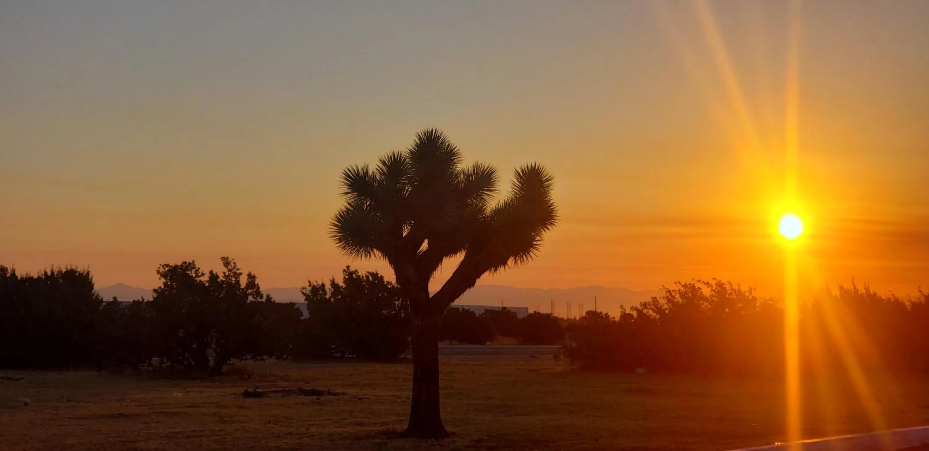 Natural landscape in Studio 6 Suites Hesperia, CA West Main Street I 15