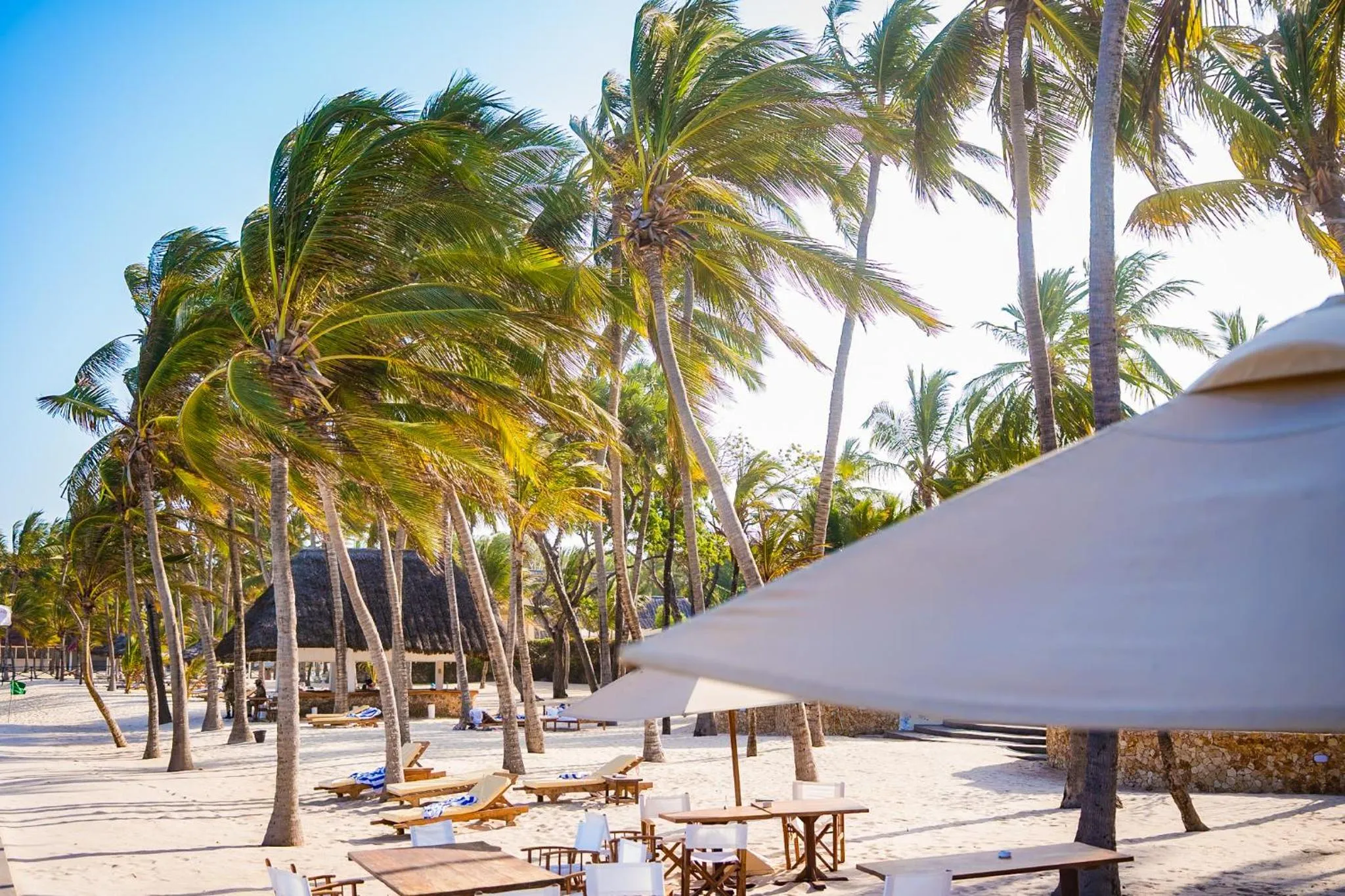 Beach in Diamonds Malindi