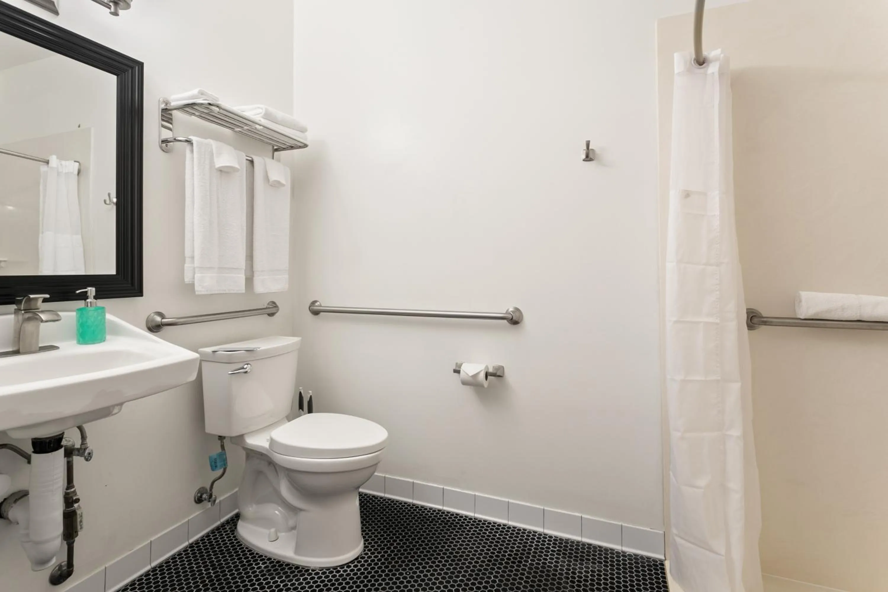 Toilet in The Iris Motel