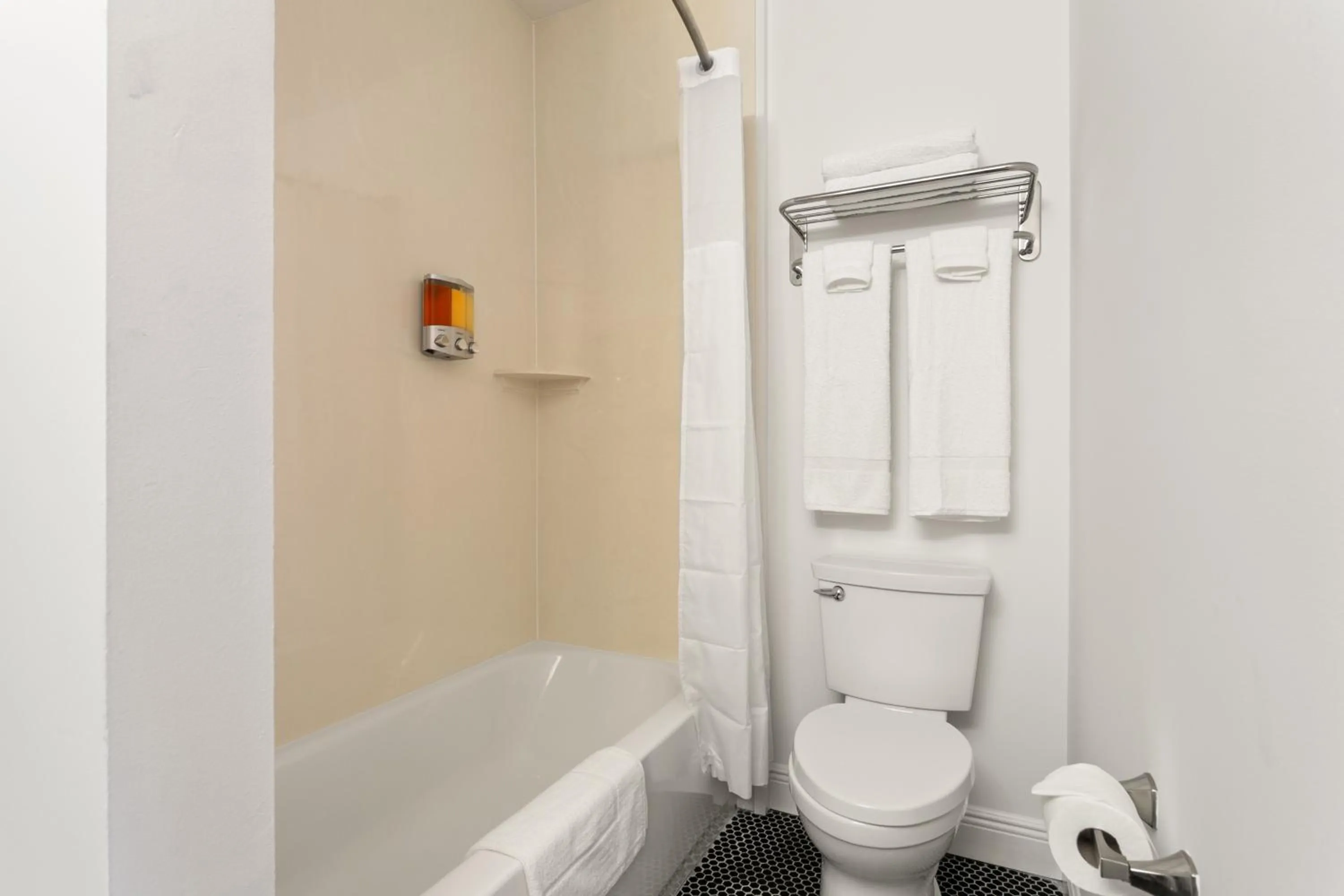 Bath in The Iris Motel