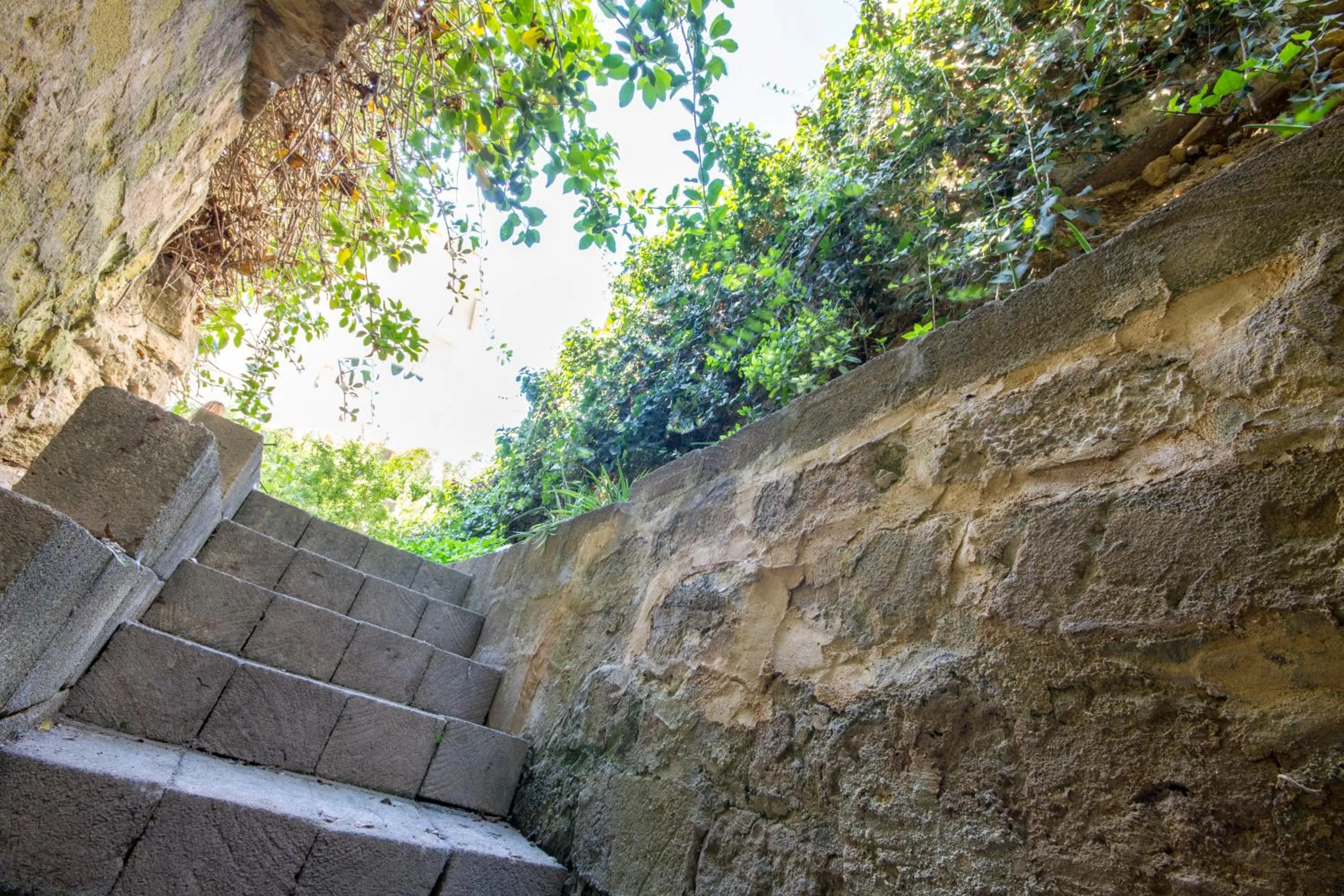 Garden in Residence Le Saline