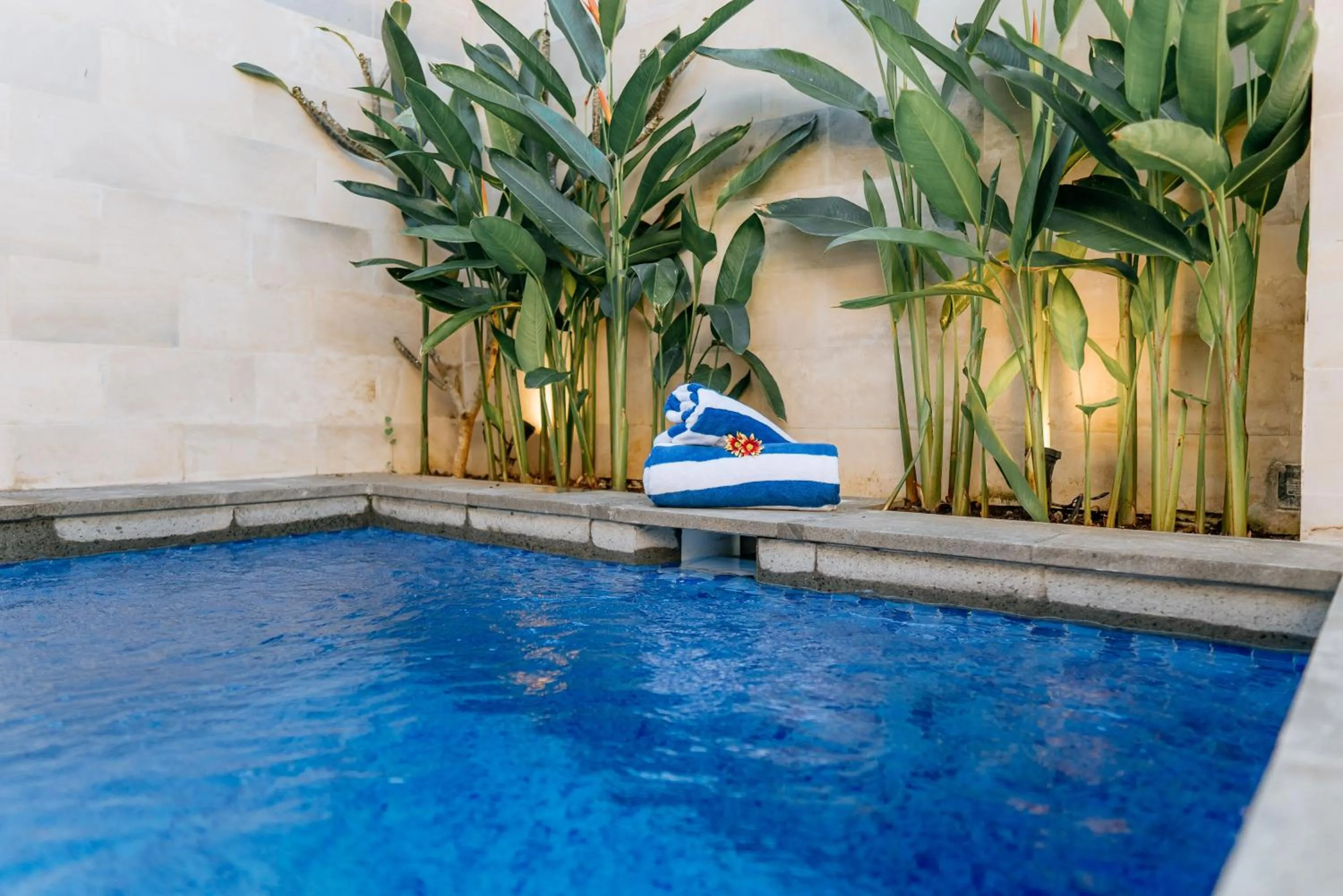 Swimming pool in Bali Made Escape