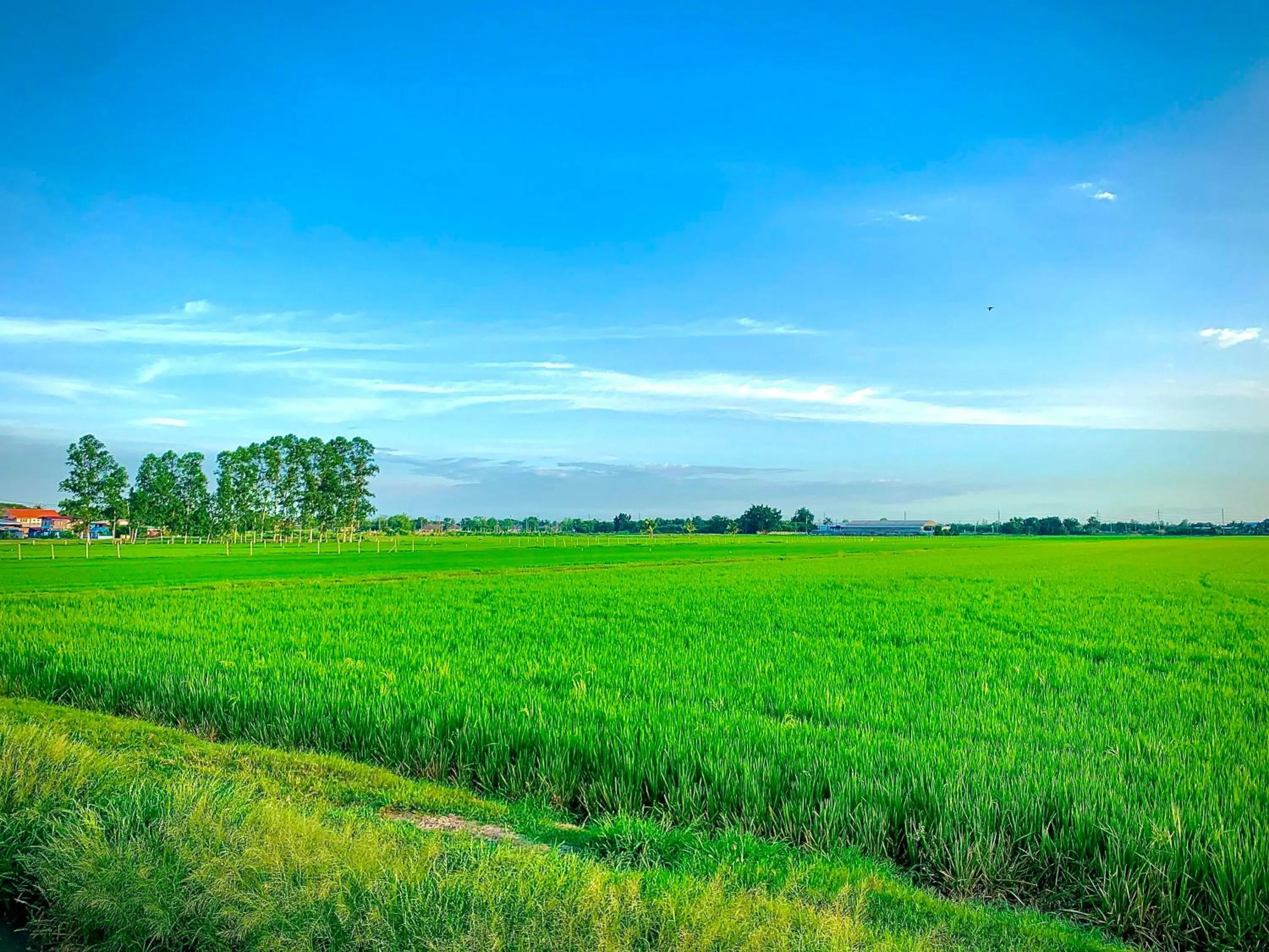 Other in Chai Na Resort