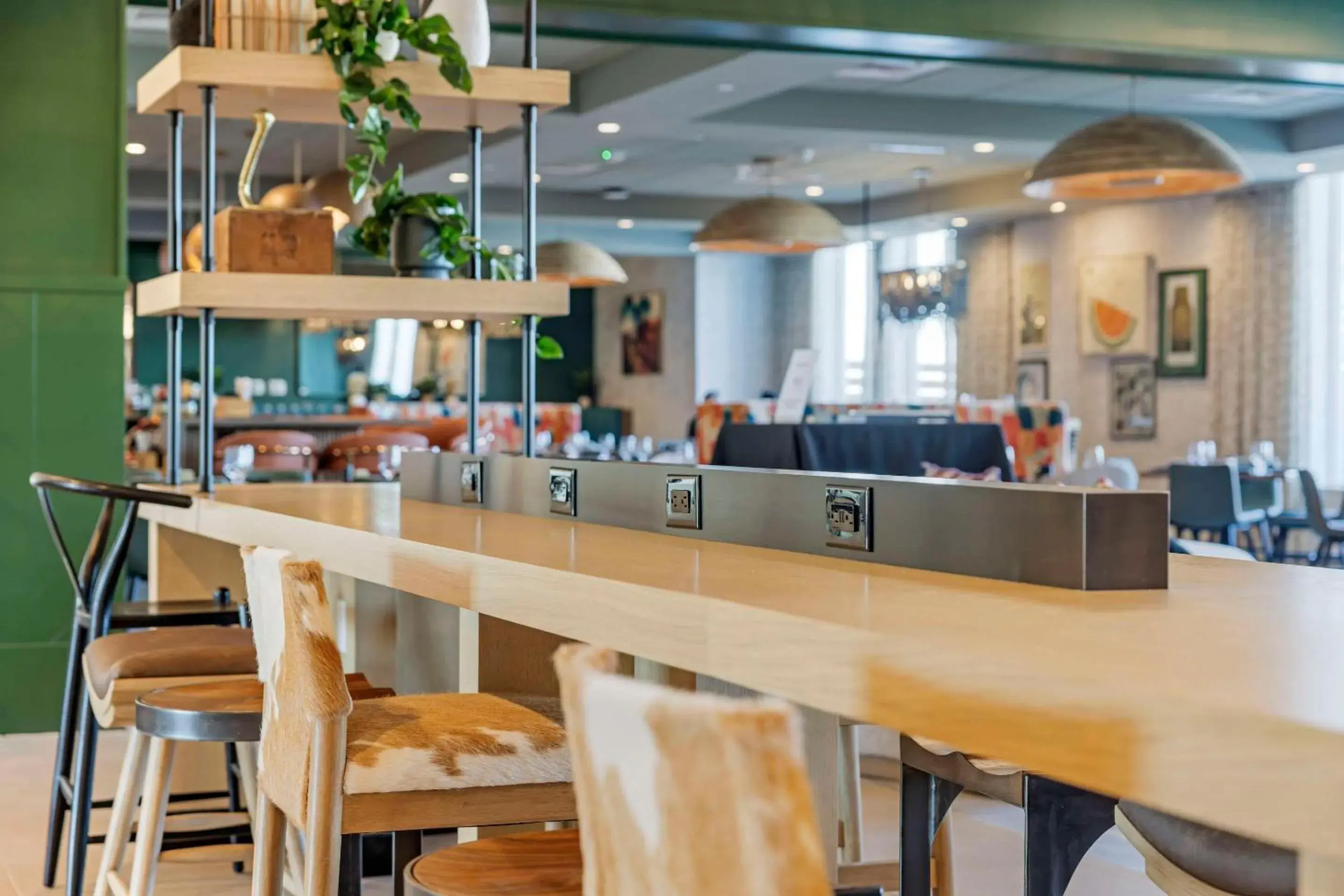 Lobby or reception in Cambria Hotel El Centro - Imperial Lobby or reception in Cambria Hotel El Centro - Imperial