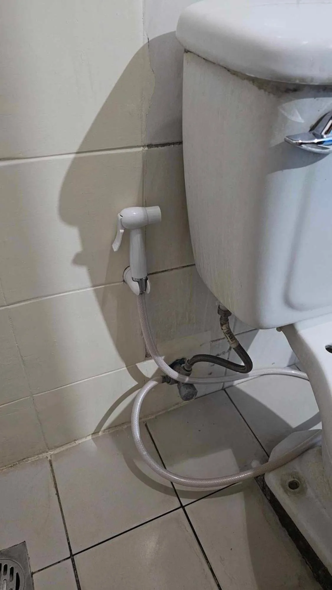 Toilet in Green Mellow Court