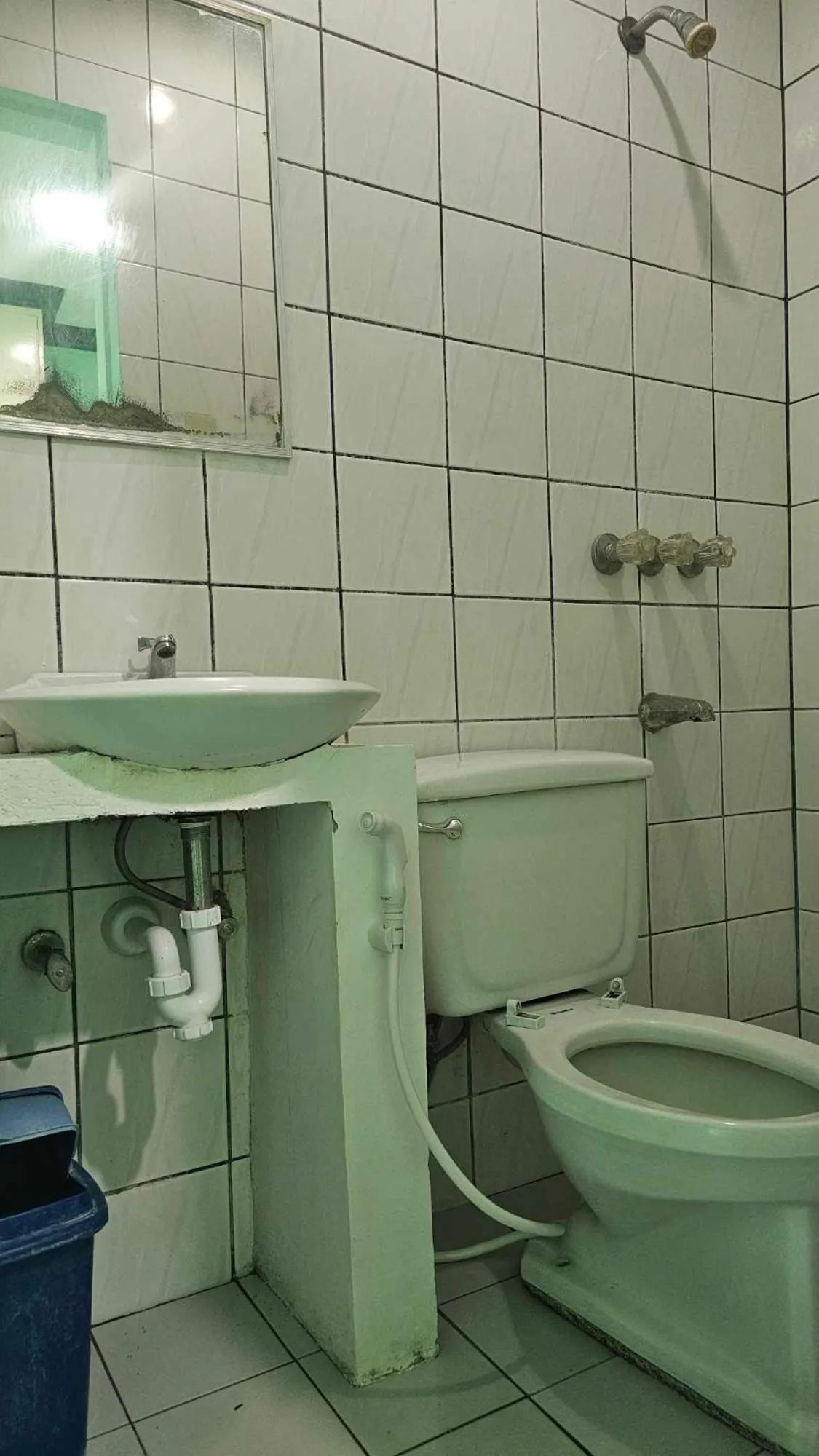 Toilet in Green Mellow Court