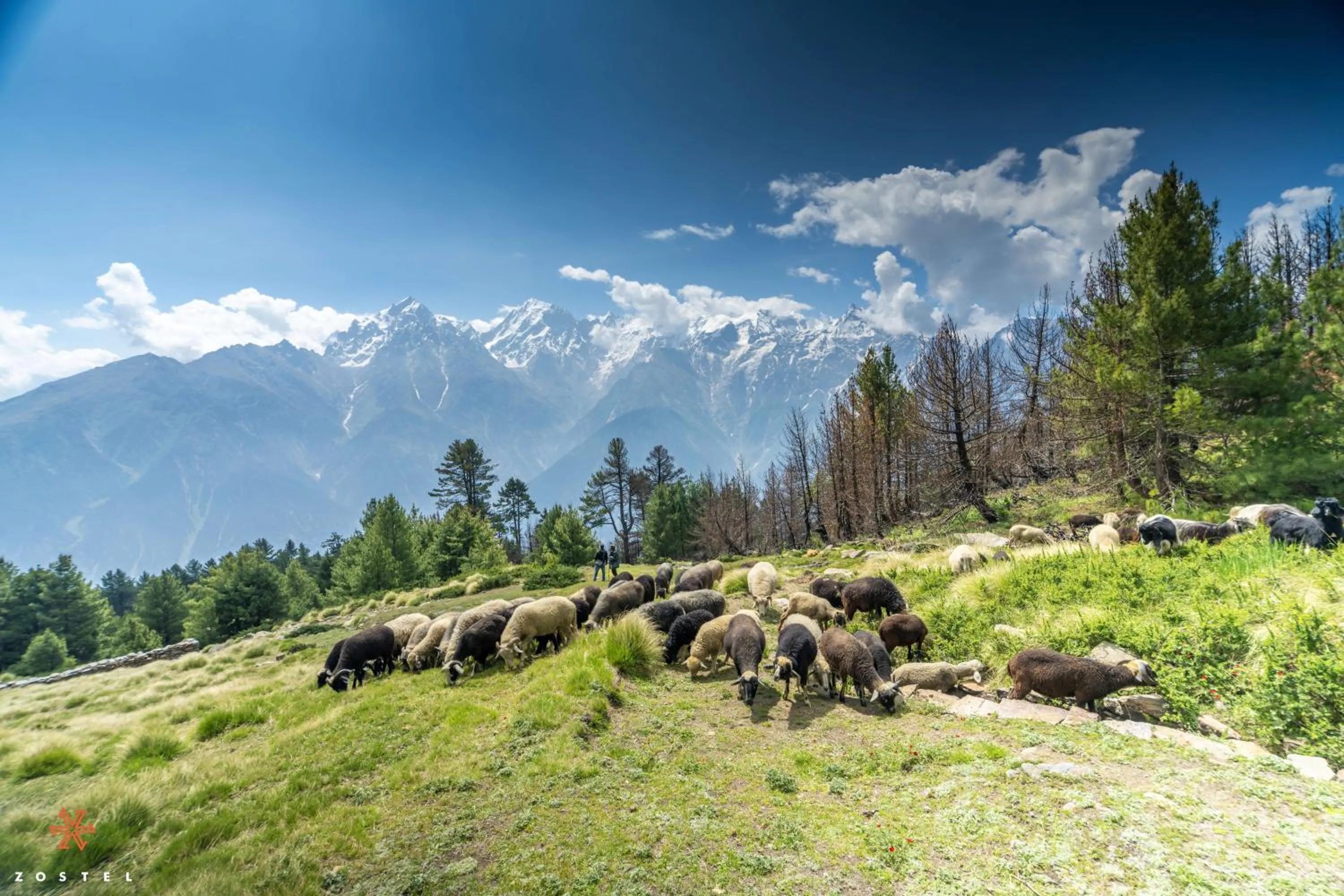 Nearby landmark in Zostel Kalpa