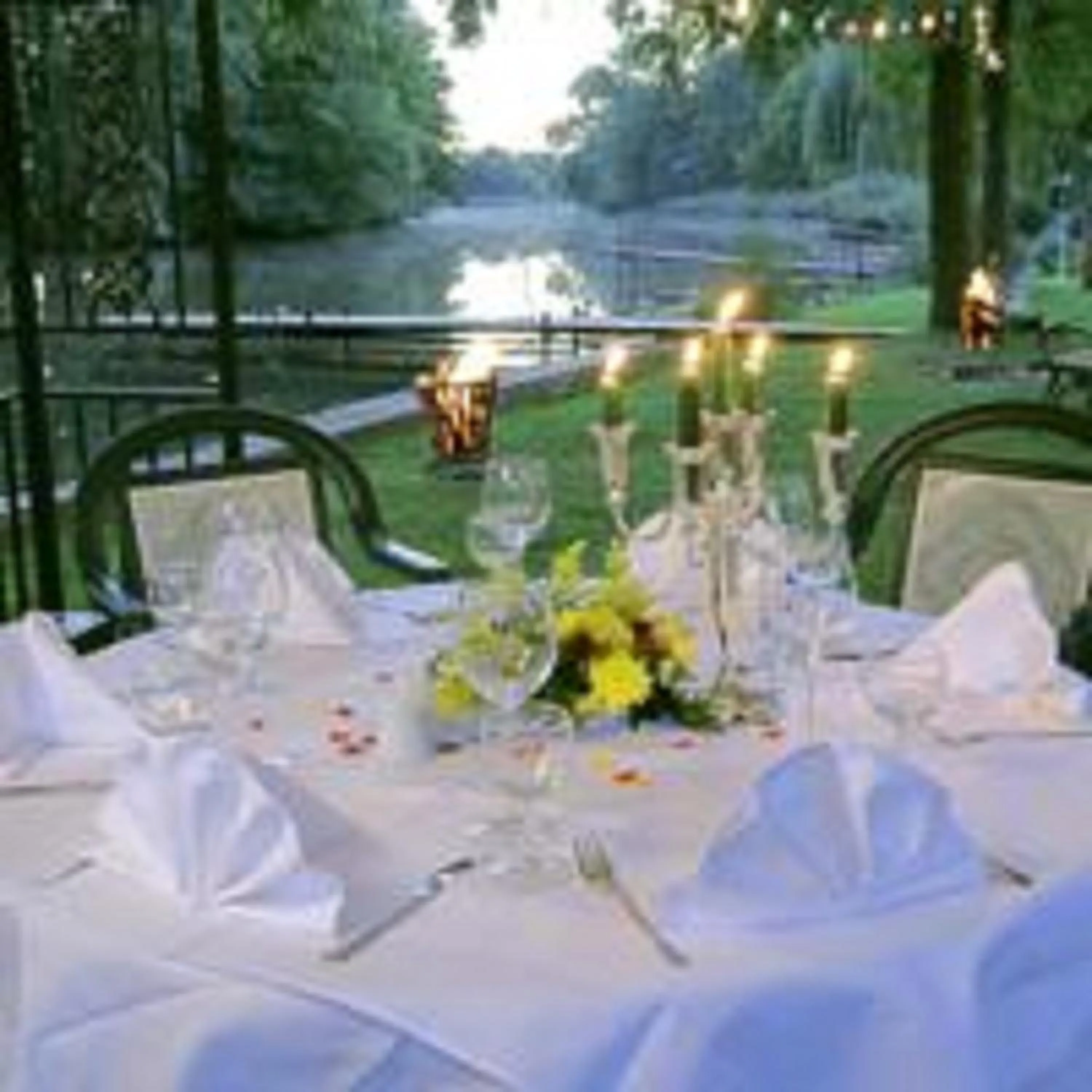 Garden in Hotel Grüner Baum
