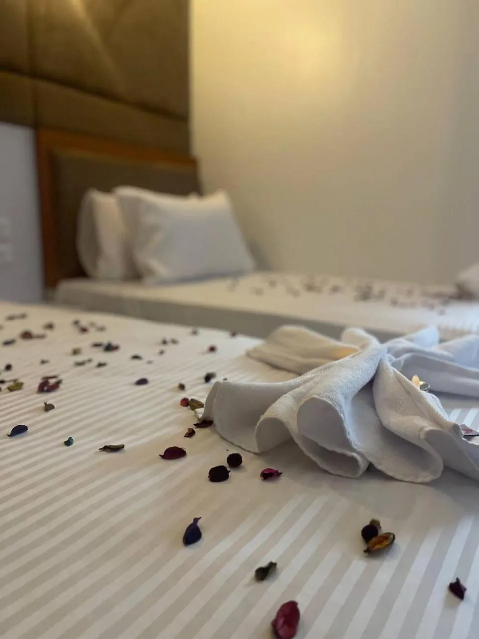 Bed in Future Hostel