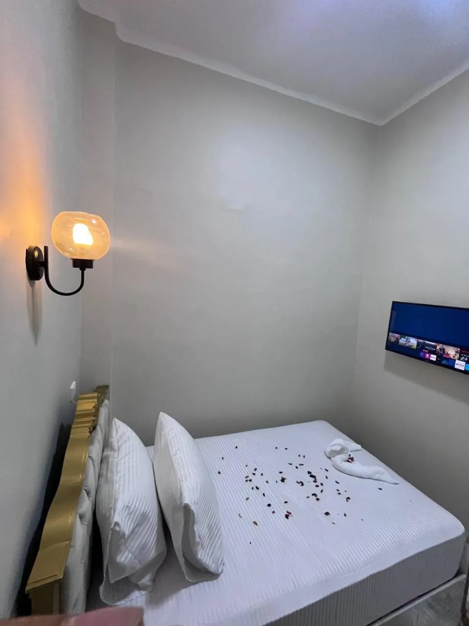 Bed in Future Hostel