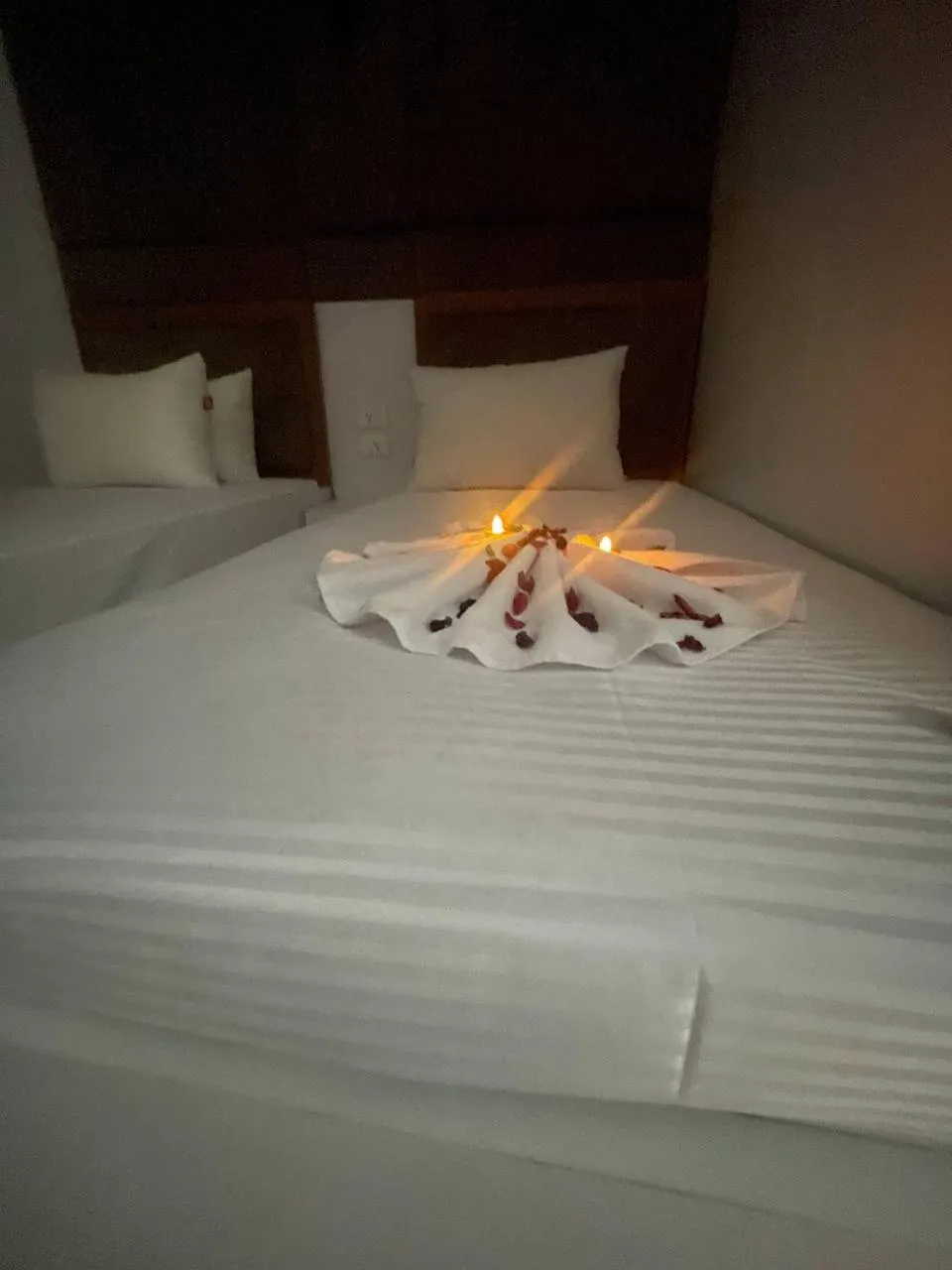 Bed in Future Hostel