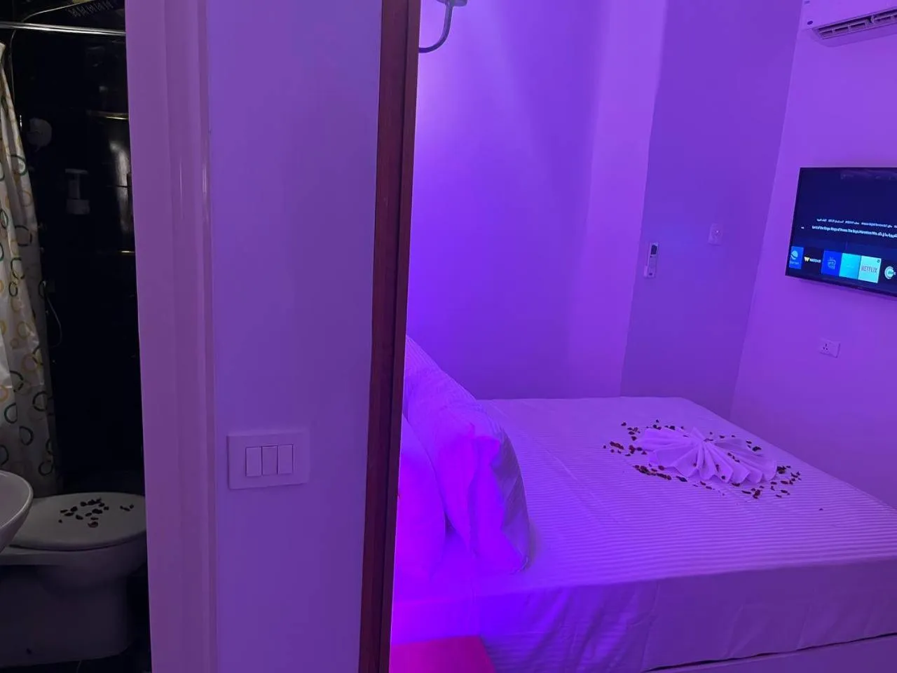 Bed in Future Hostel