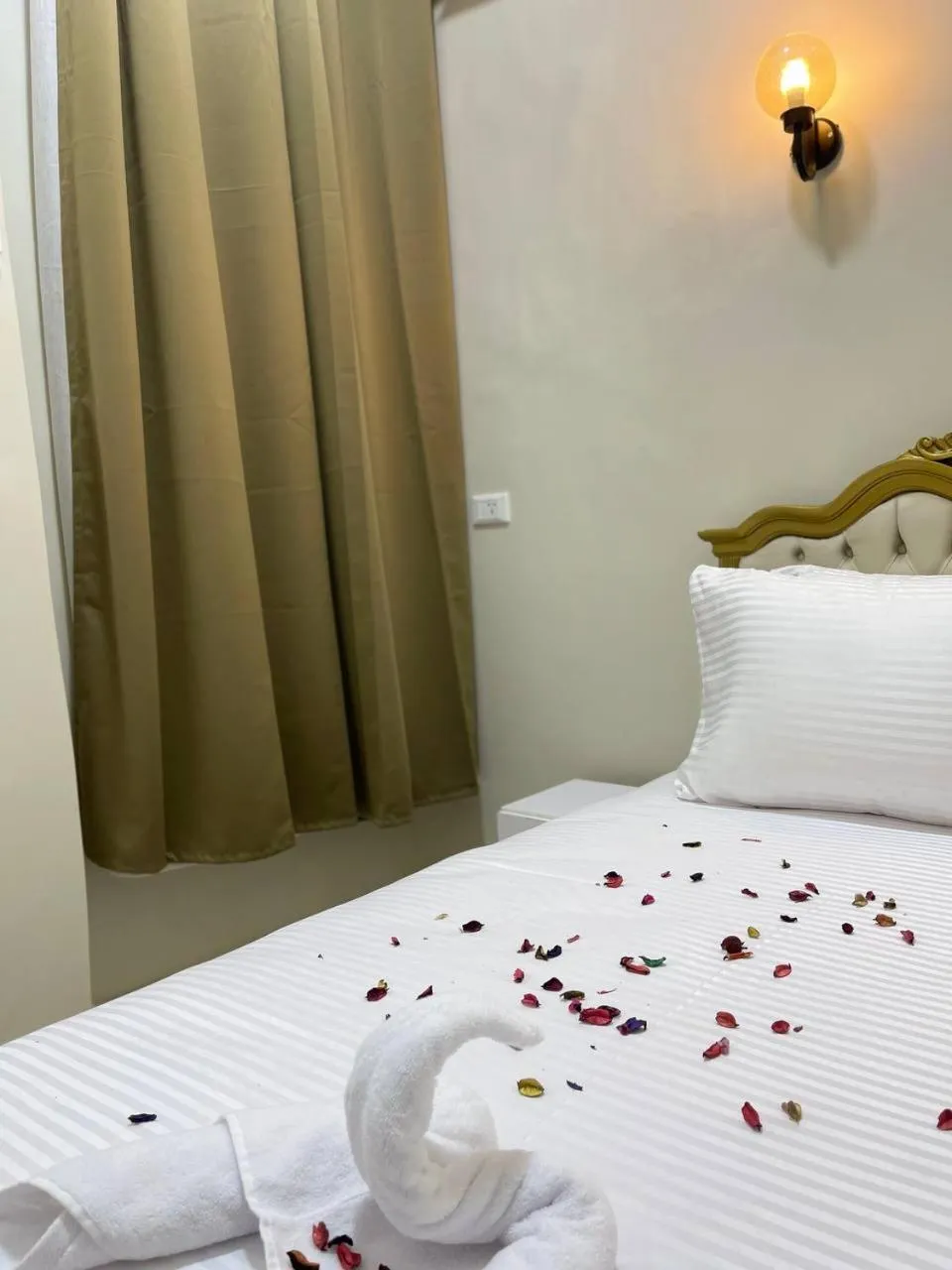 Bed in Future Hostel