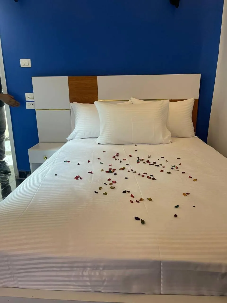 Bed in Future Hostel