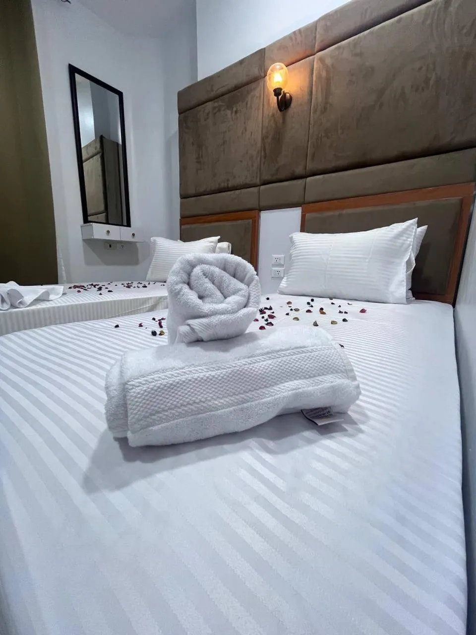 Bed in Future Hostel