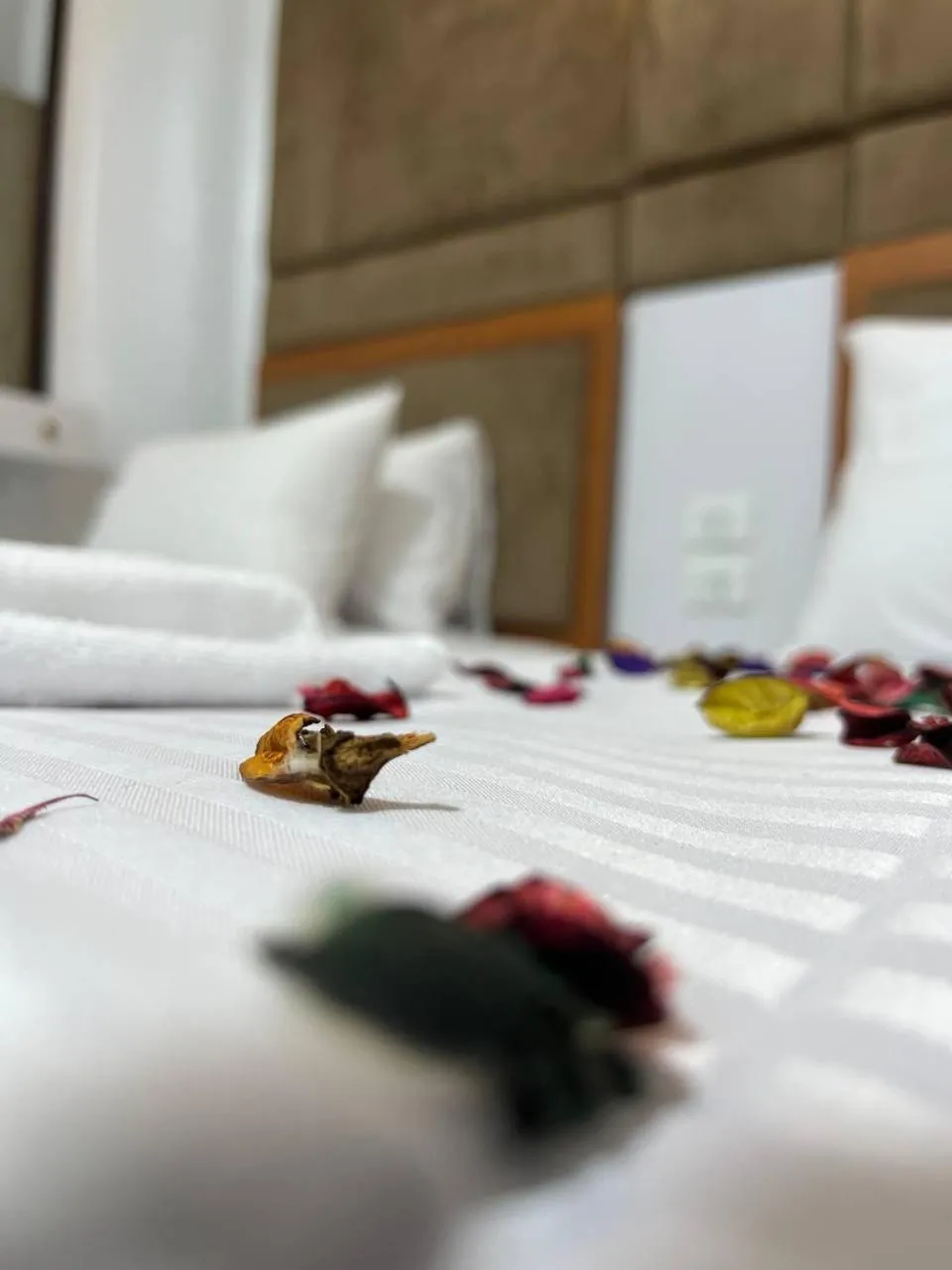 Bed in Future Hostel