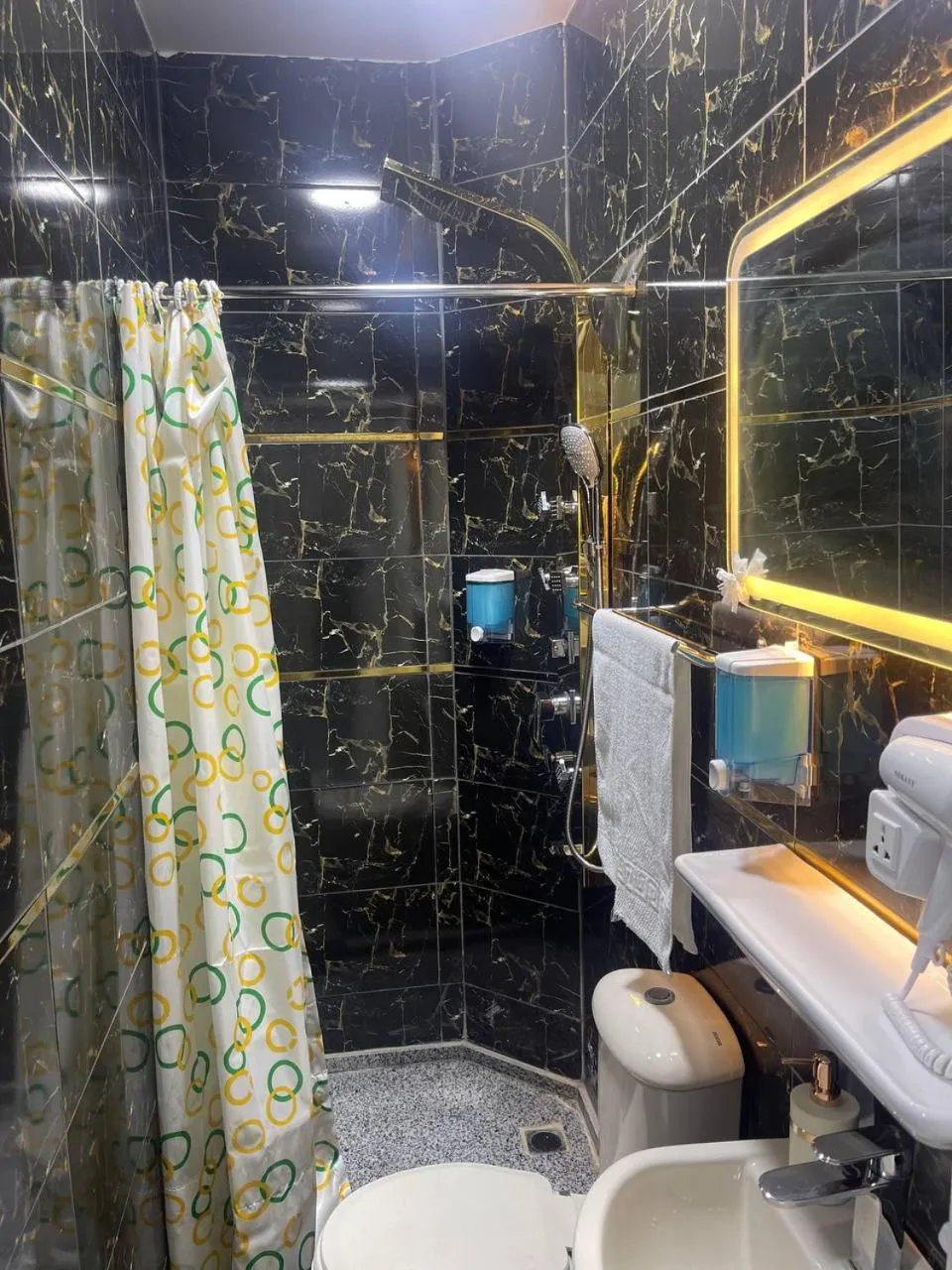 Toilet in Future Hostel