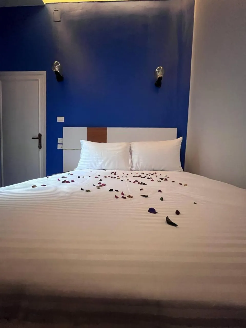 Bed in Future Hostel