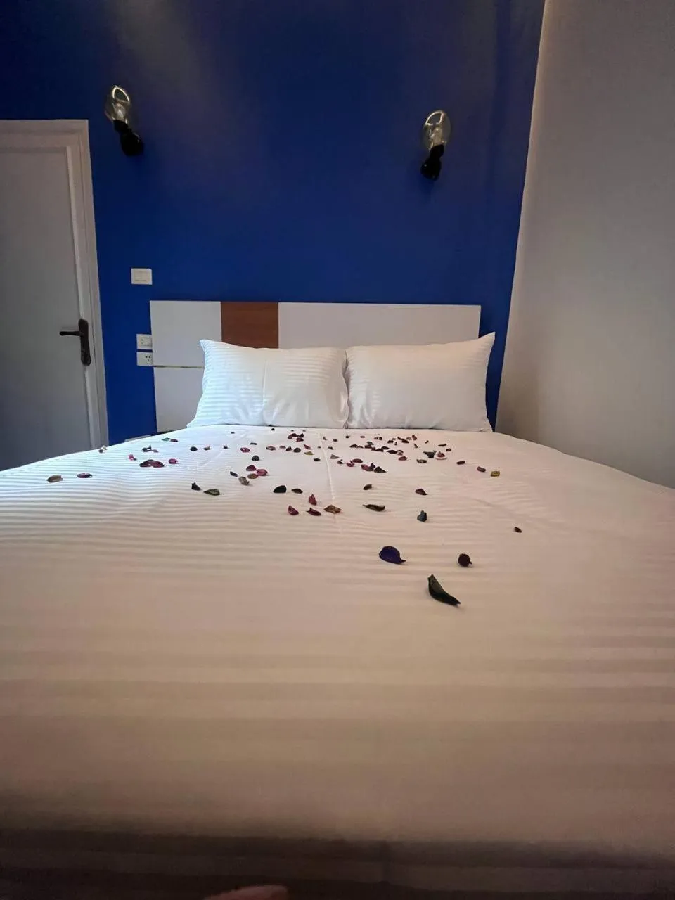 Bed in Future Hostel