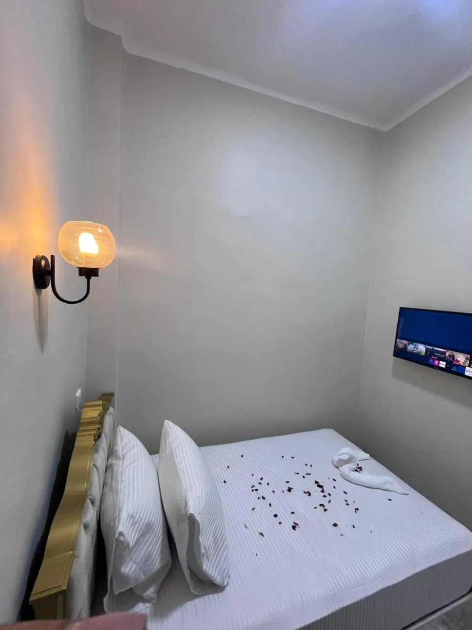 Bed in Future Hostel