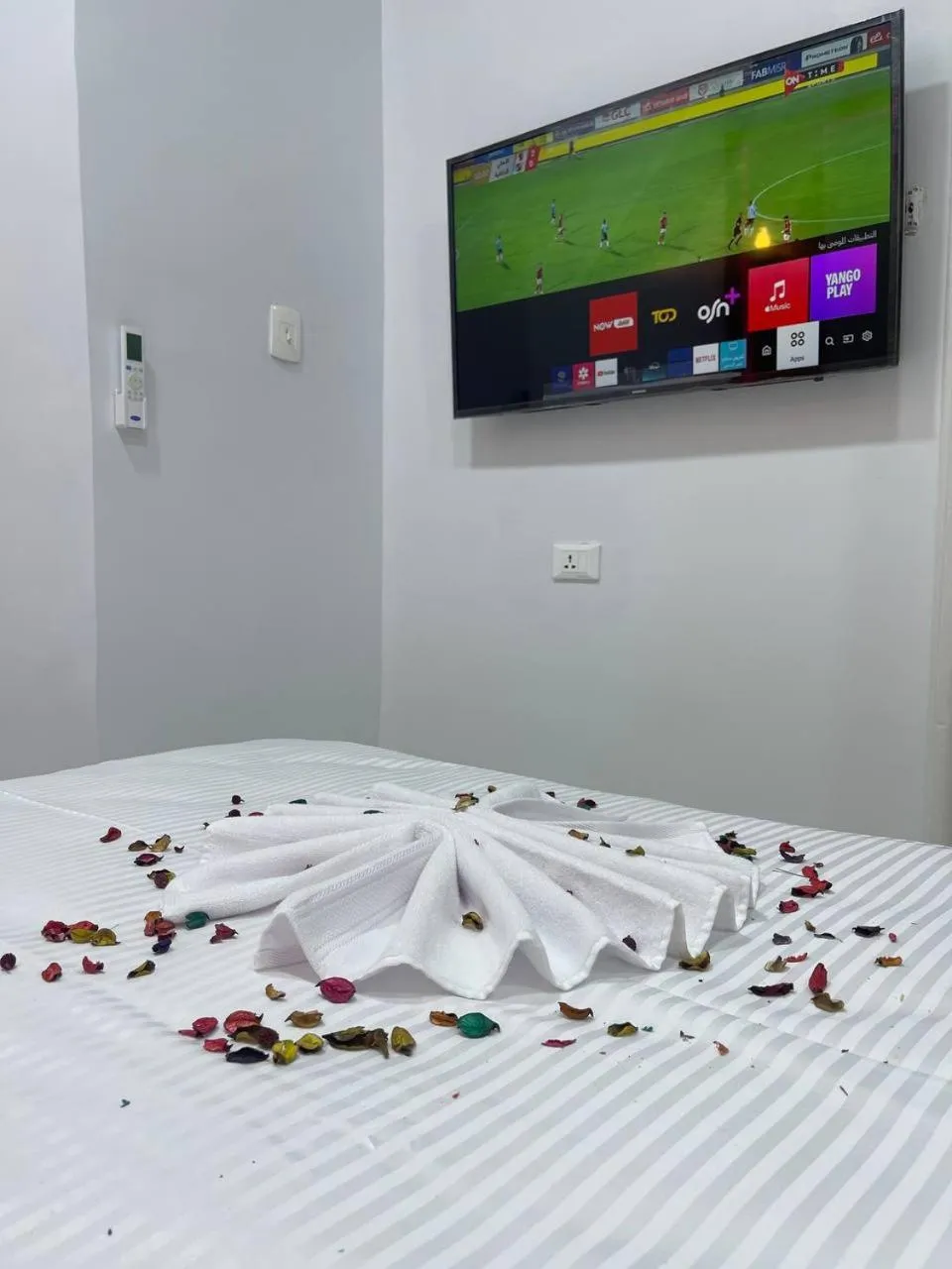 Bed in Future Hostel