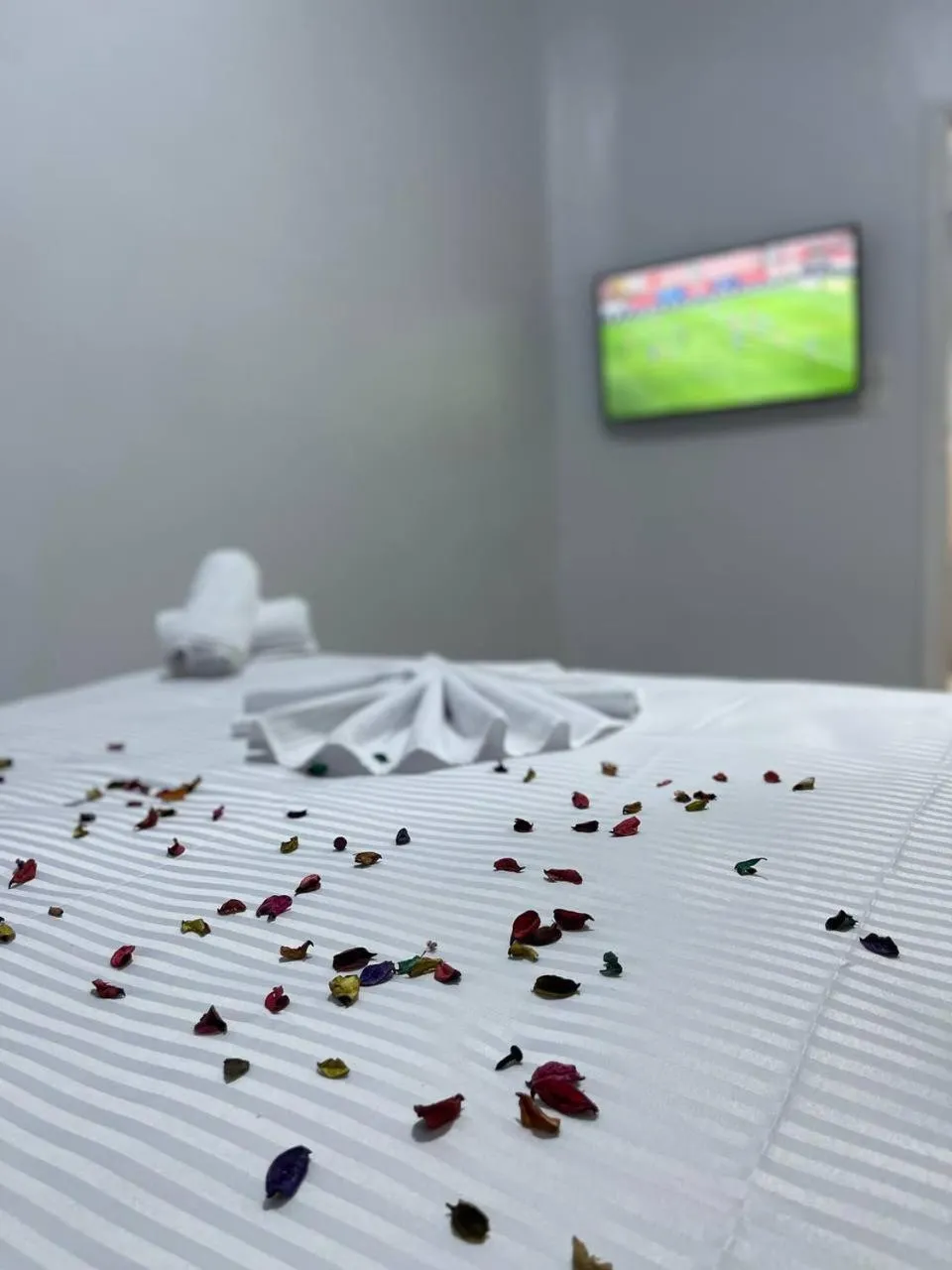 Bed in Future Hostel