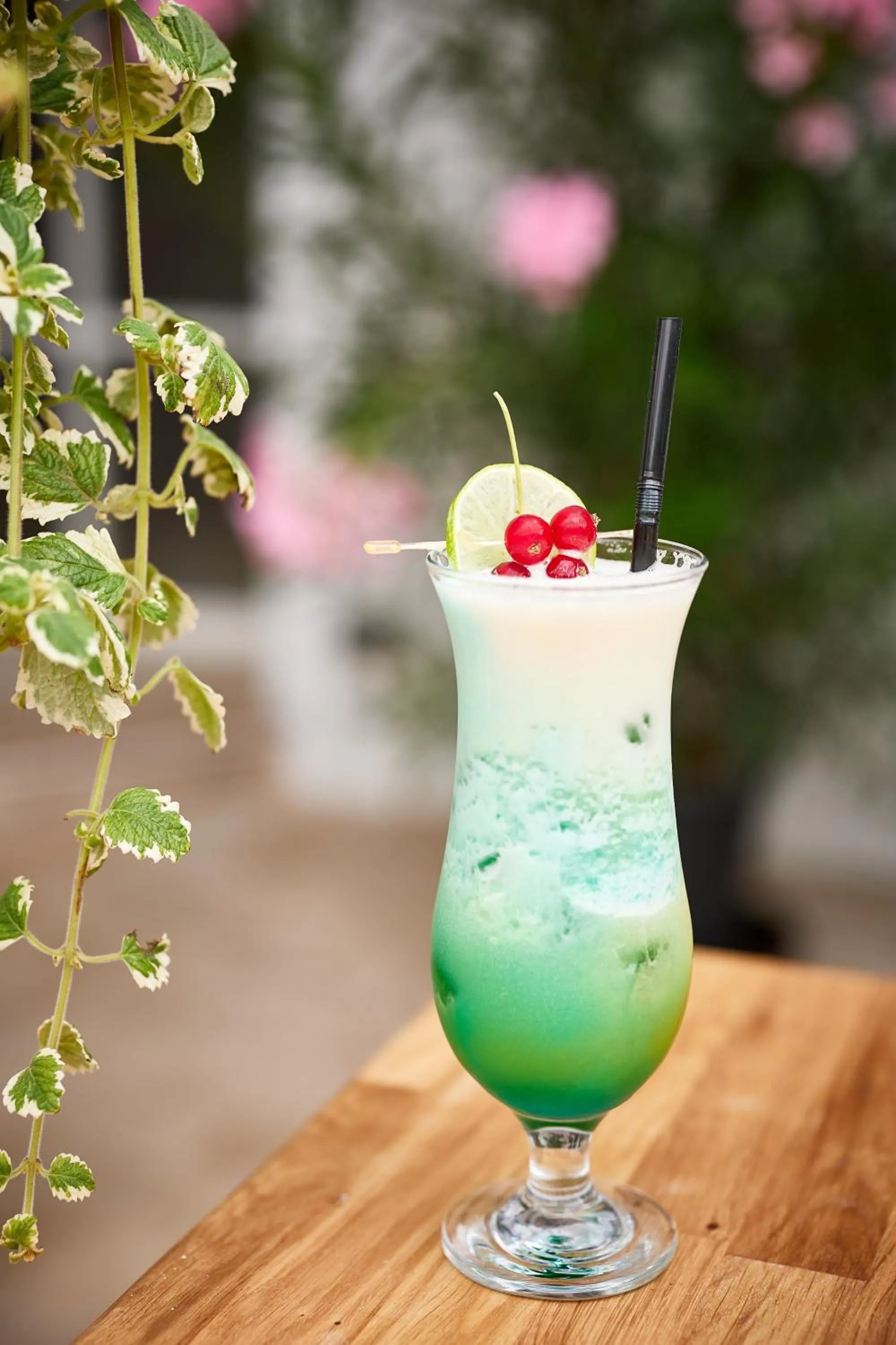 Drinks in Carol Park View