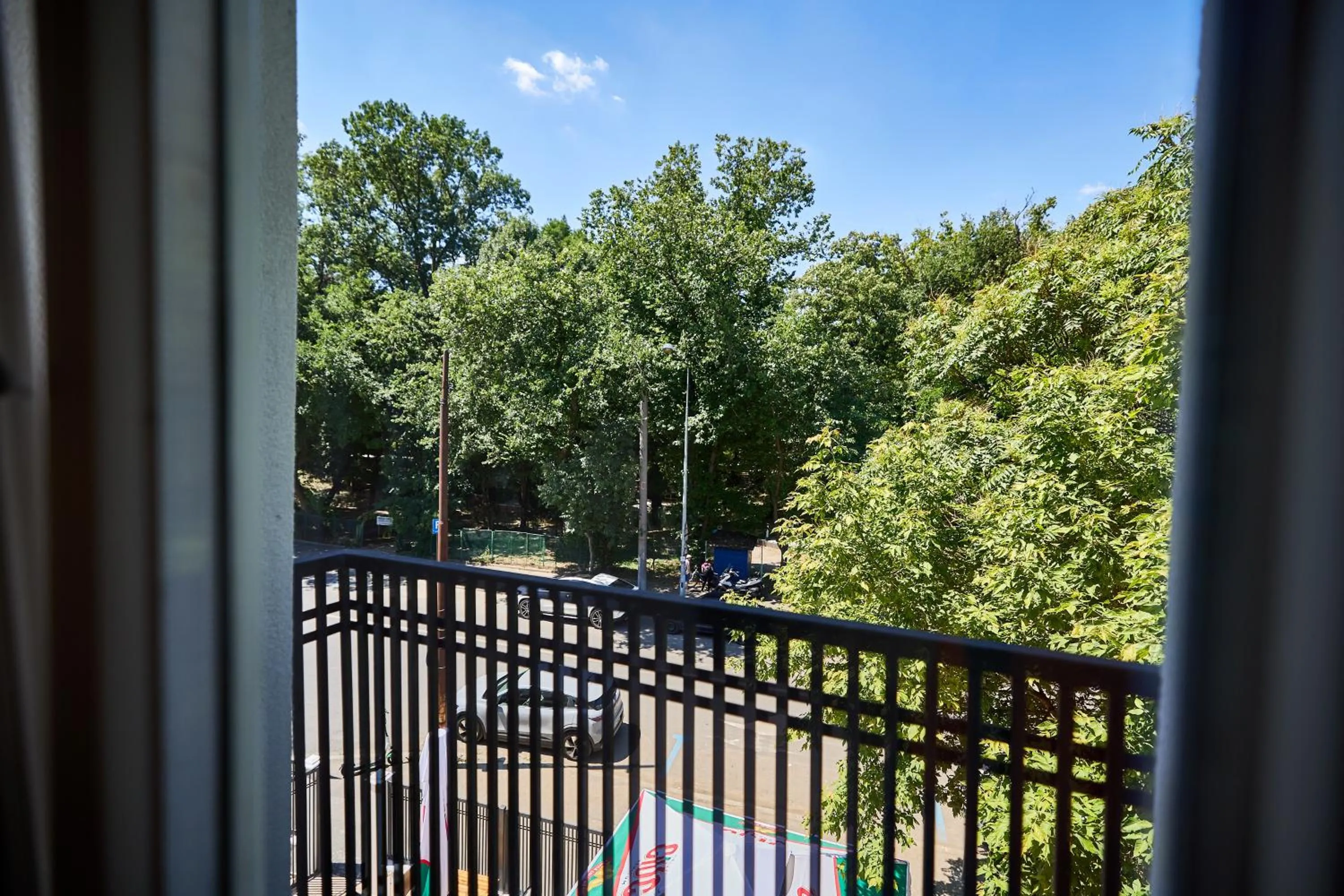 Natural landscape in Carol Park View