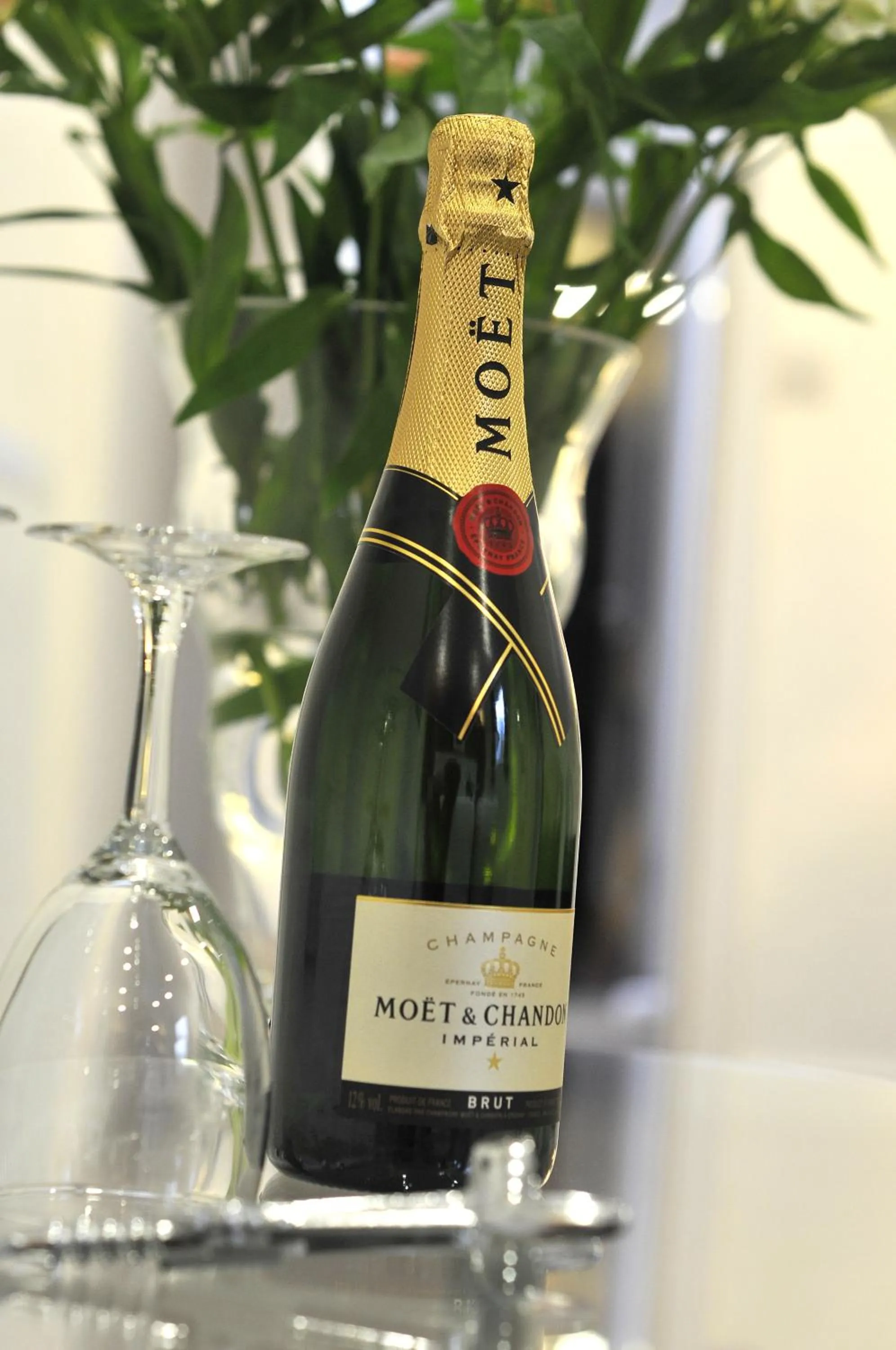 Drinks in St John's Lodge Guest House incl off-site leisure club