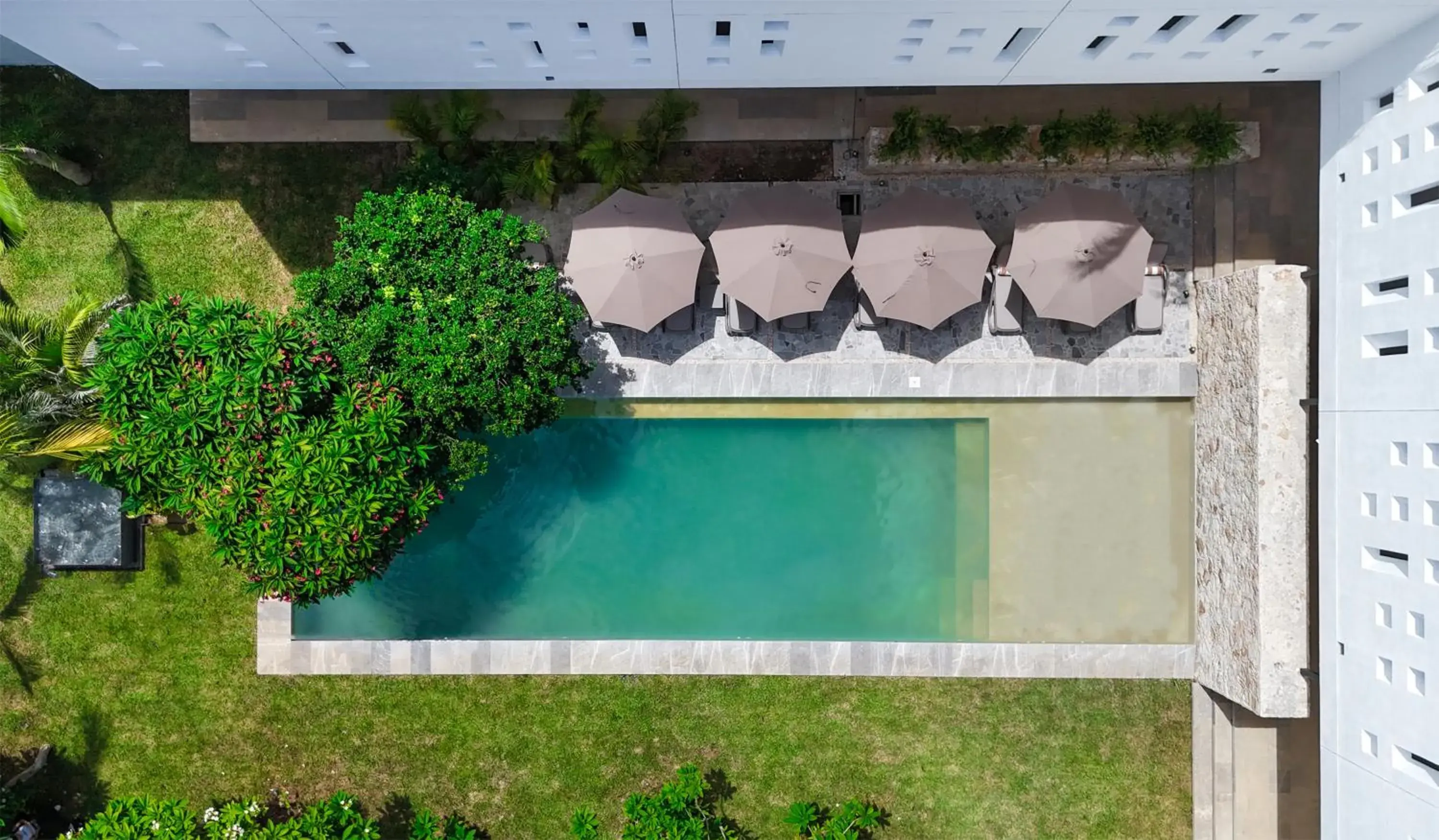 Pool view in Casa Loreto 1893 Pool view in Casa Loreto 1893