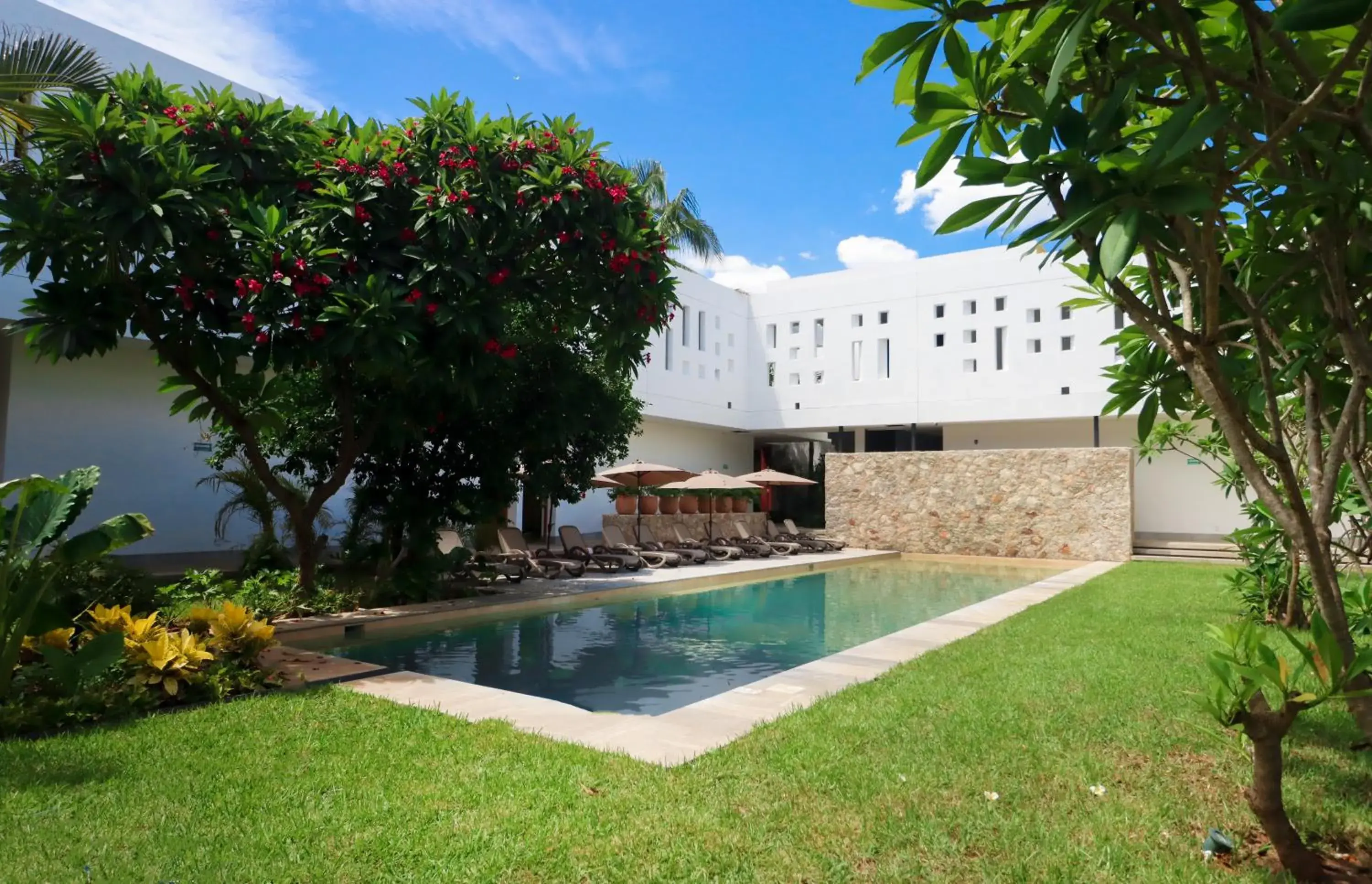 Pool view in Casa Loreto 1893 Pool view in Casa Loreto 1893