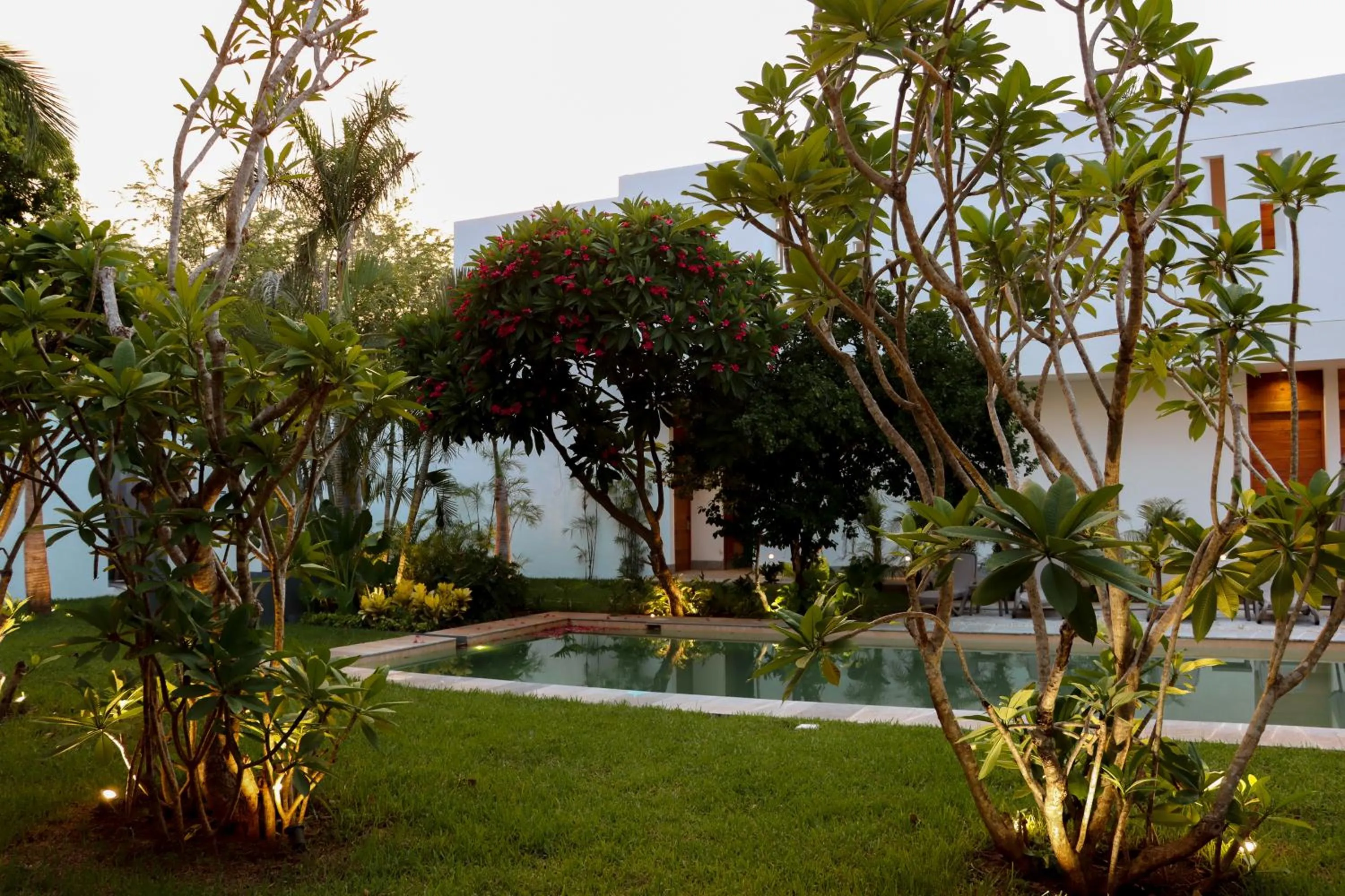 Garden view in Casa Loreto 1893