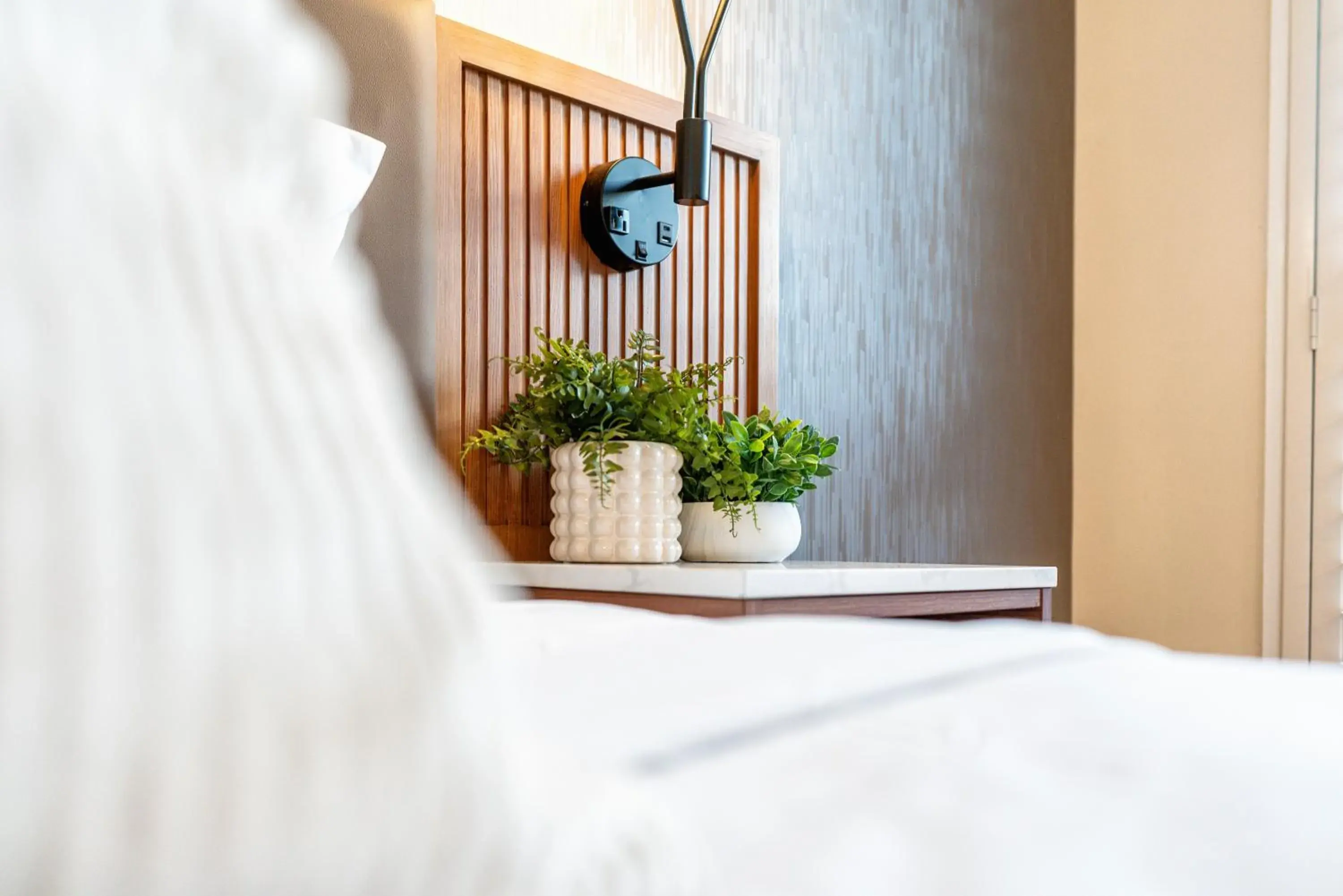 King Room - Disability Access in LYFE INN & SUITES by AGA - Beverly Hills King Room - Disability Access in LYFE INN & SUITES by AGA - Beverly Hills