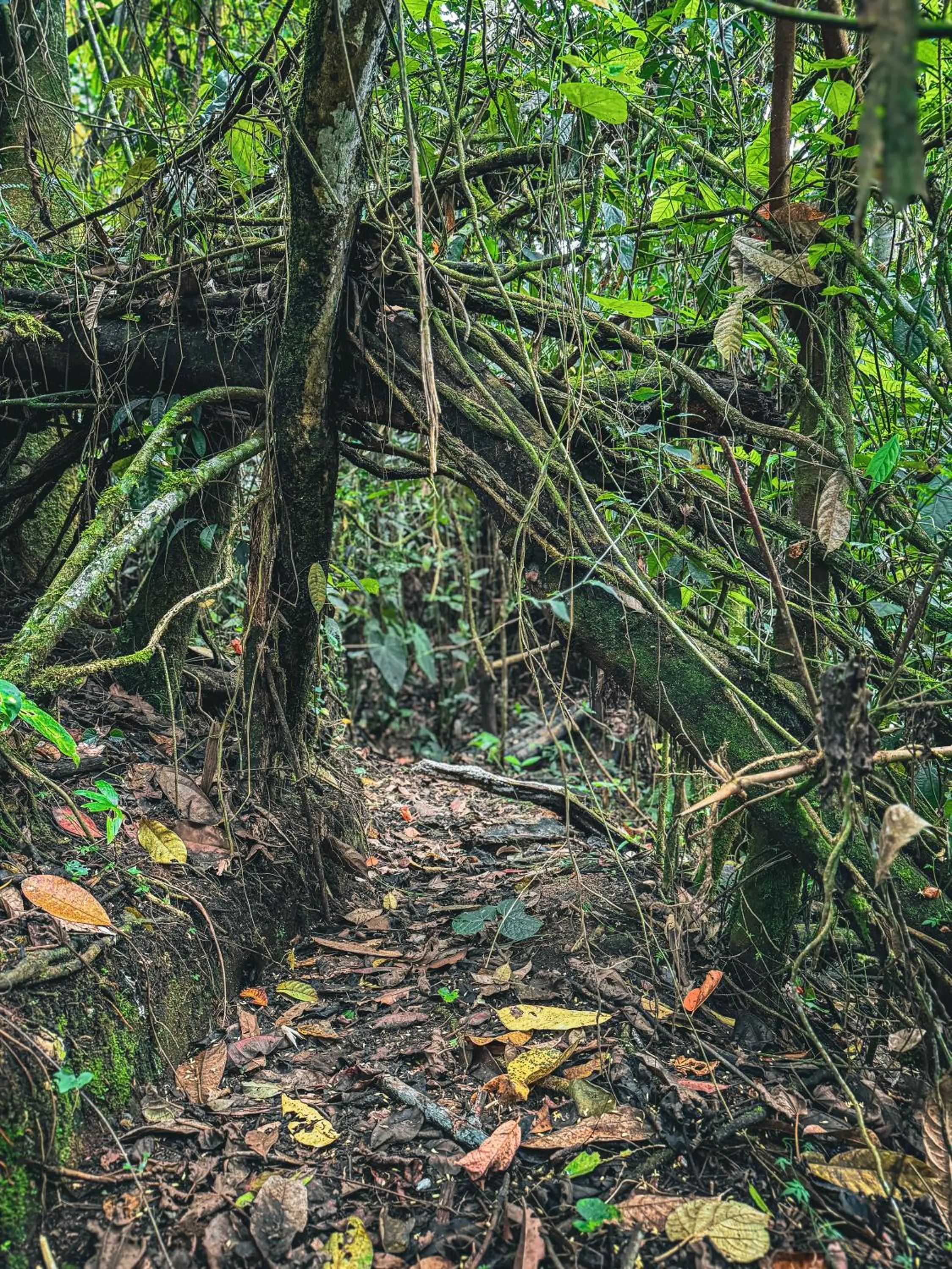 Hiking in Tukki Ecolodge Hotel