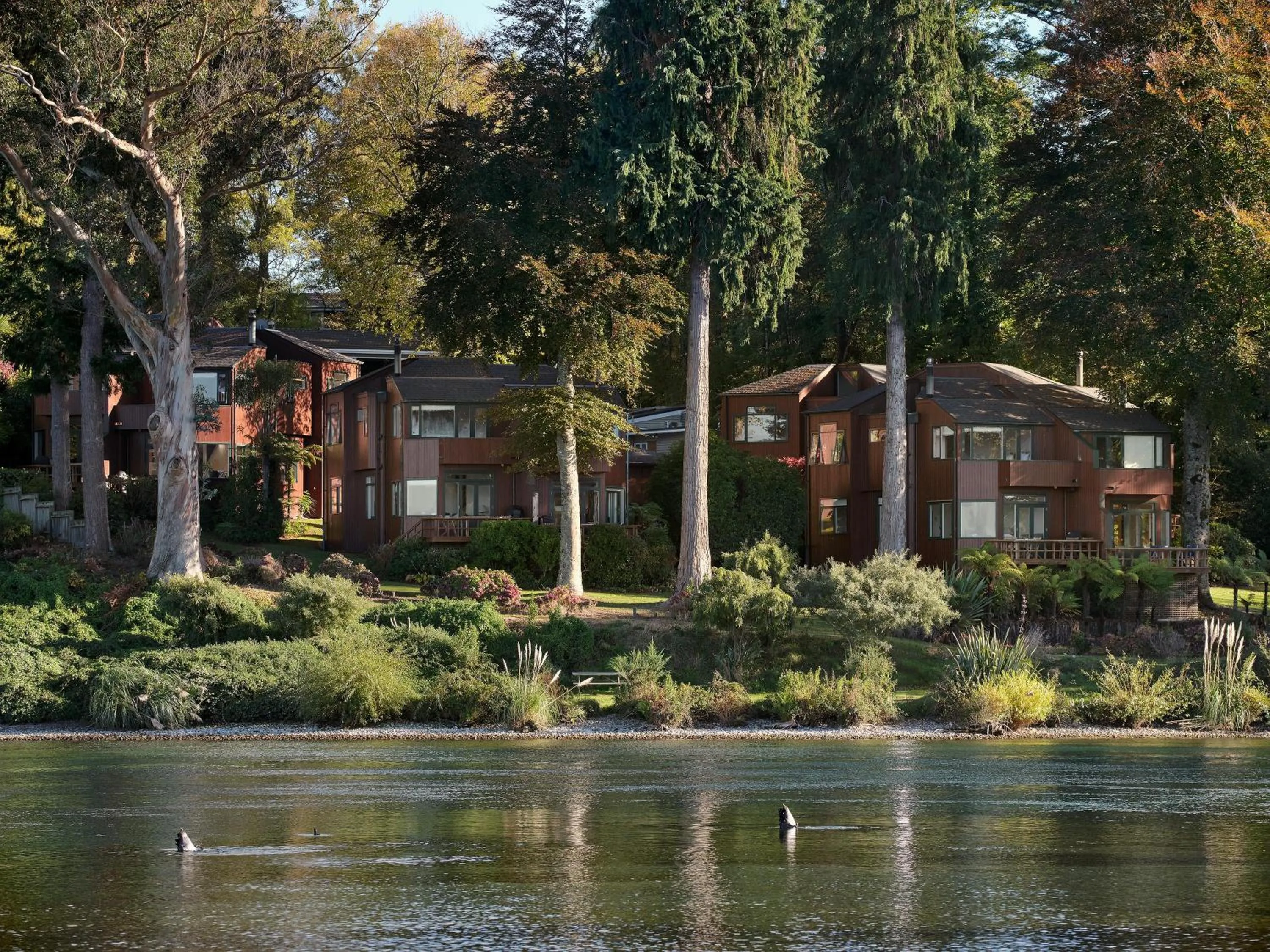The Retreat