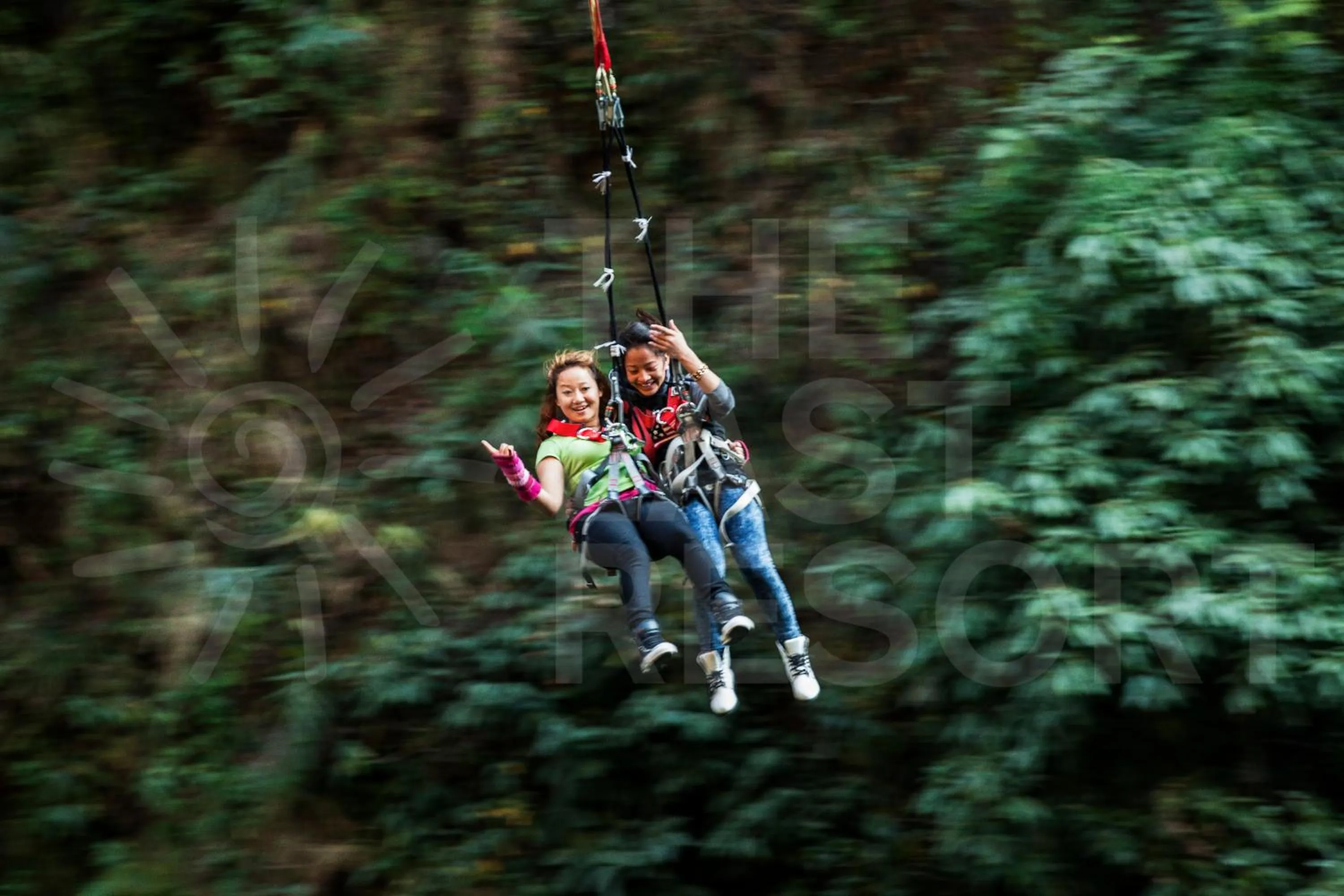 Day in The Last Resort - Safari Tent