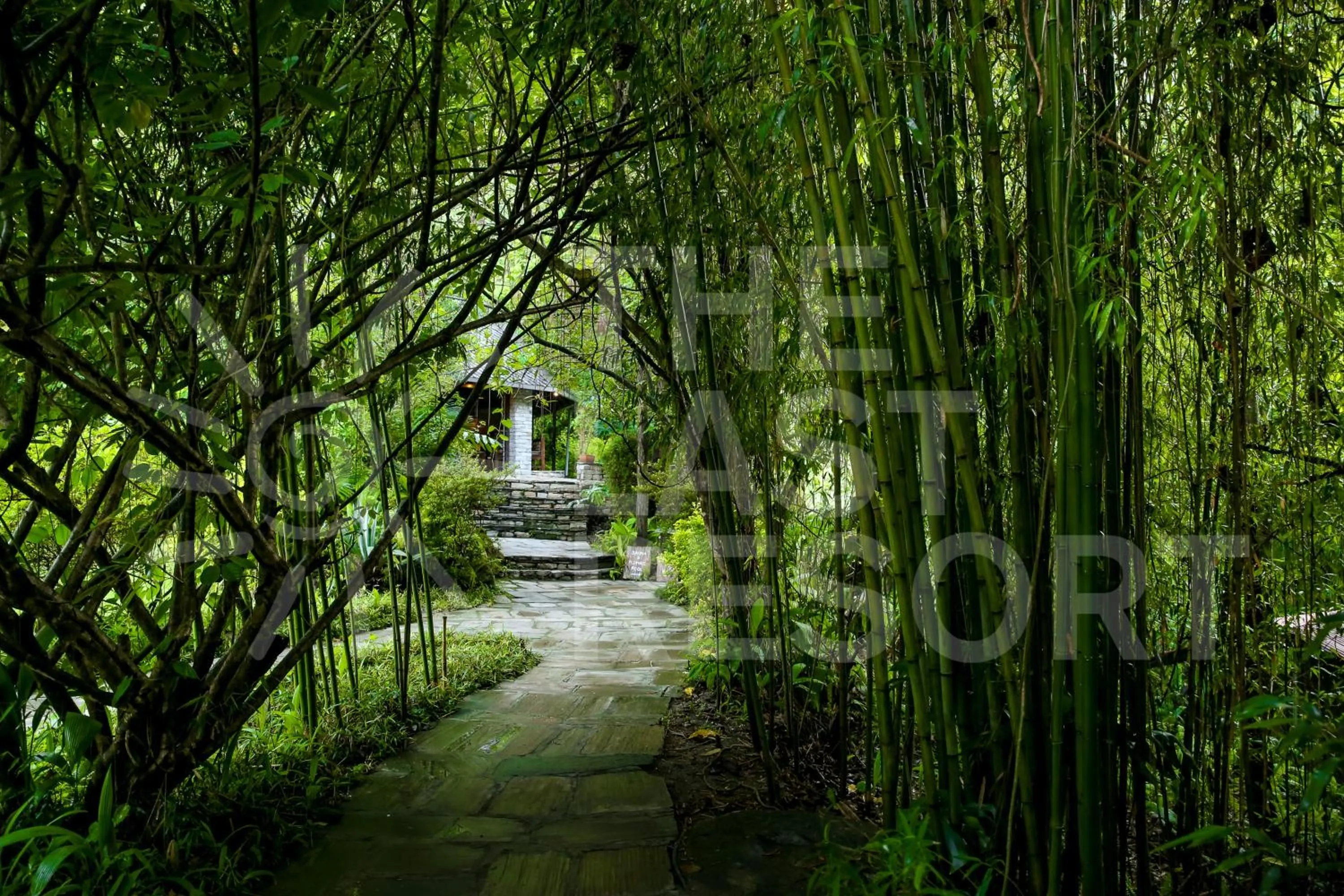 Spring in The Last Resort - Safari Tent