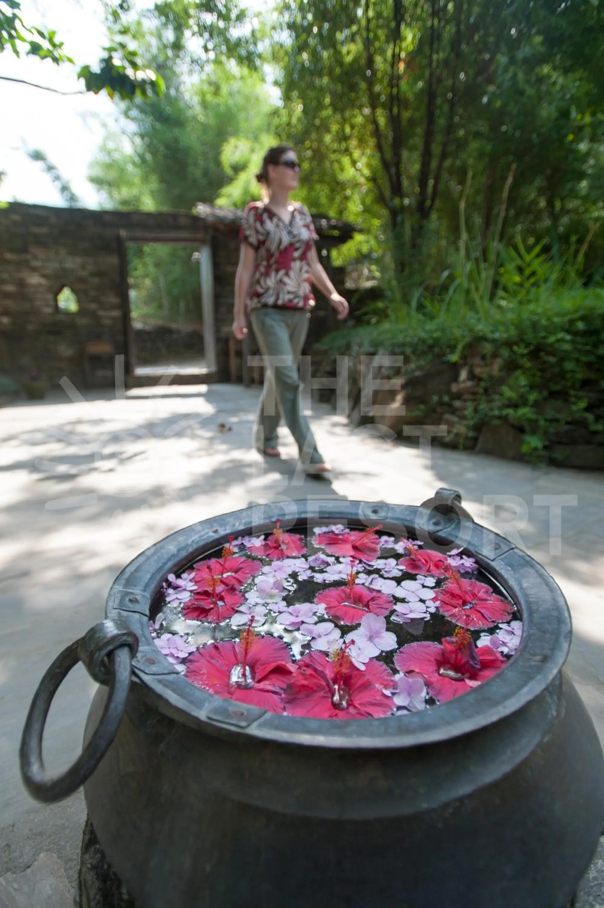 Spring in The Last Resort - Safari Tent